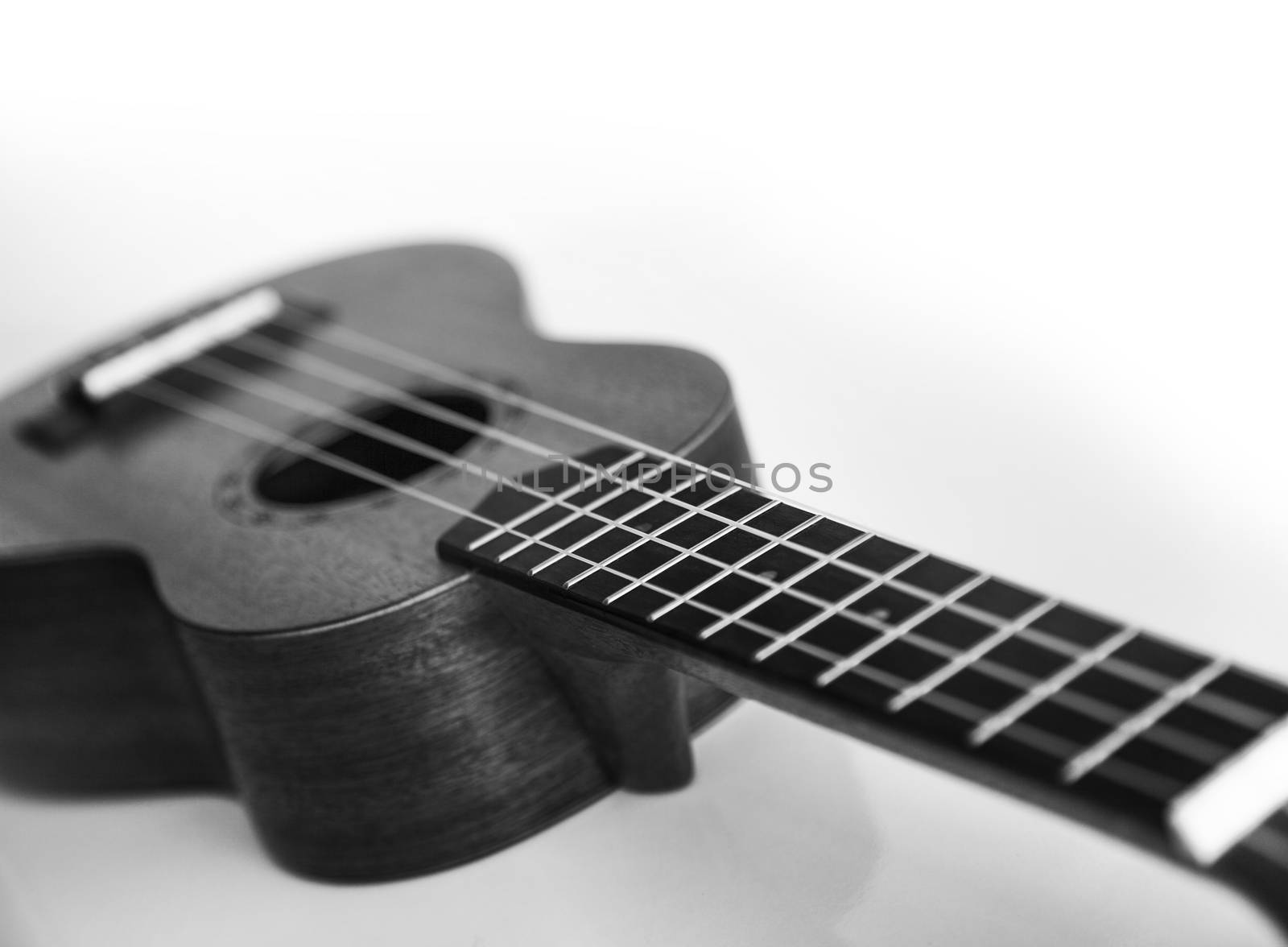 Ukulele guitar, monochrome photo isolated on the white background. Blurred concept