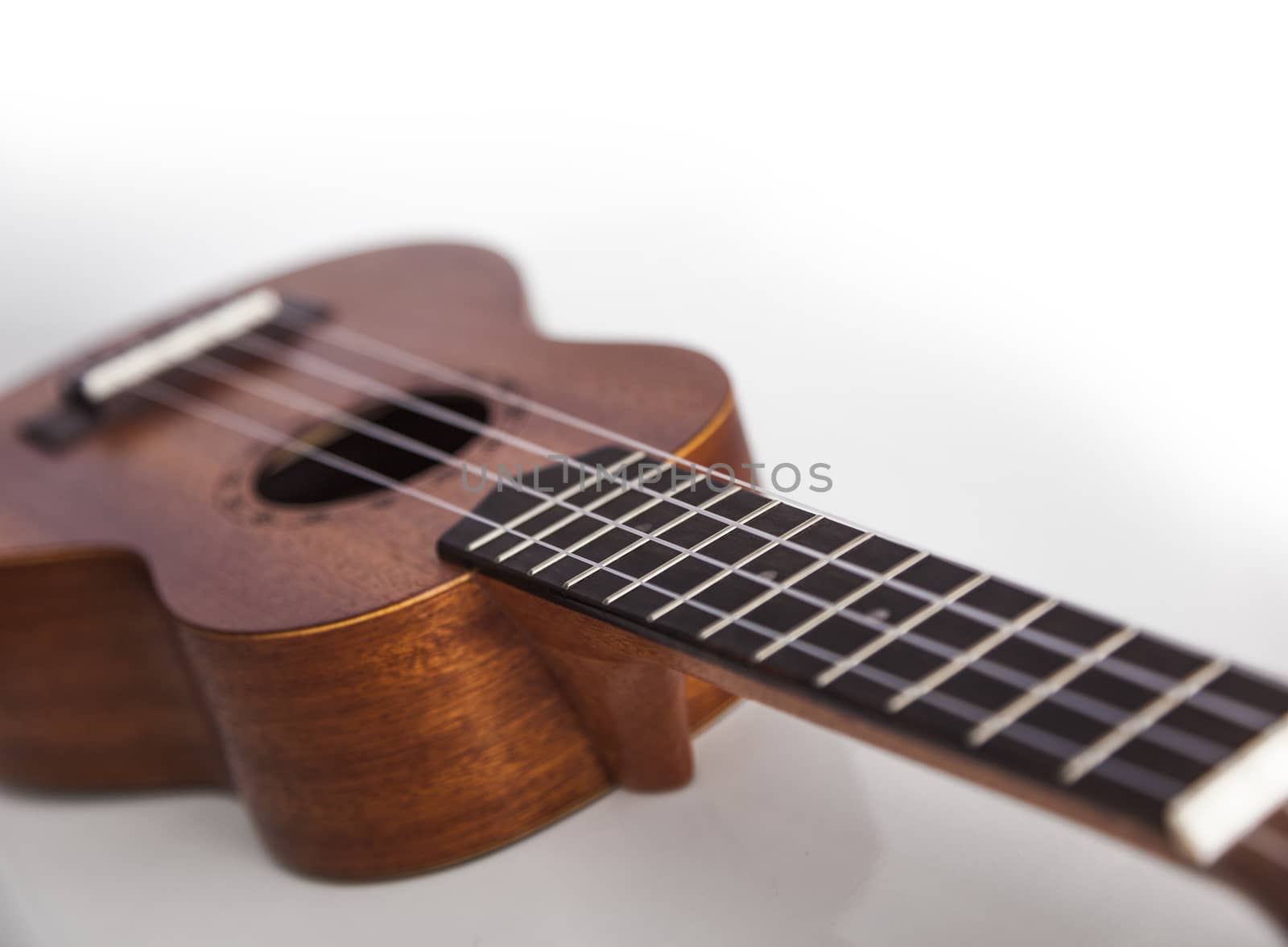 The brown ukulele guitar isolated on the white background. Blurred concept