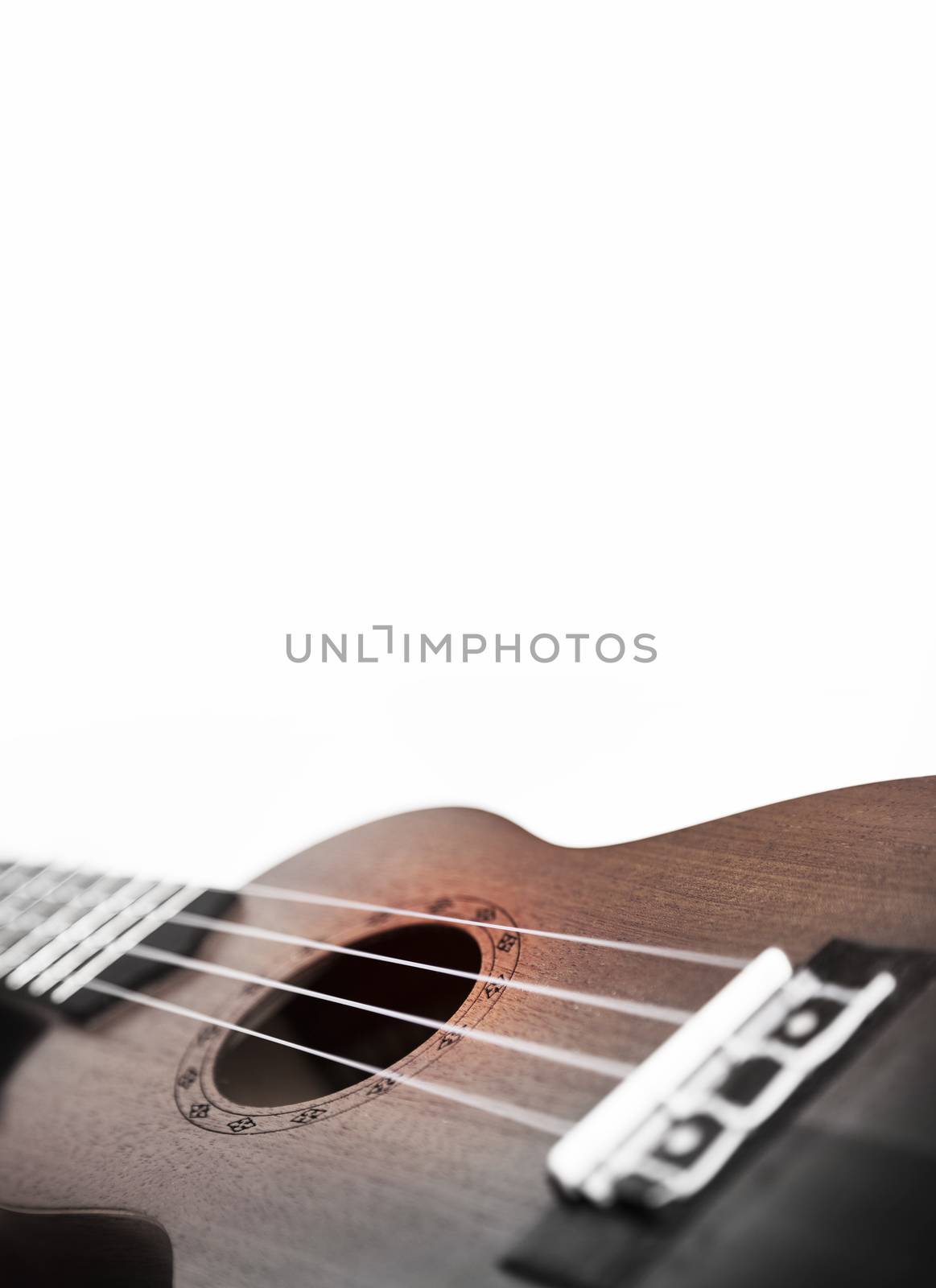 The brown ukulele guitar isolated on the white background. Blurred concept