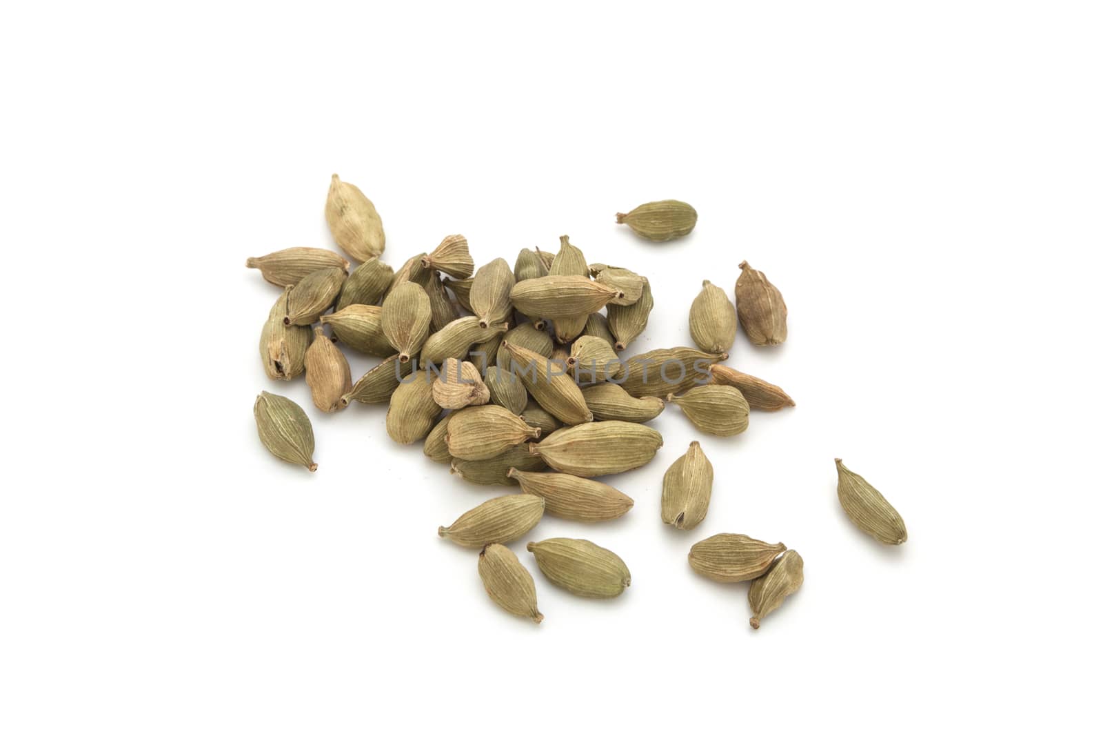 Cardamon pods spices isolated on white background