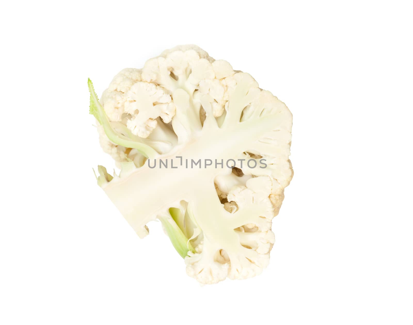 Fresh cauliflower cabbage vegetable on white background