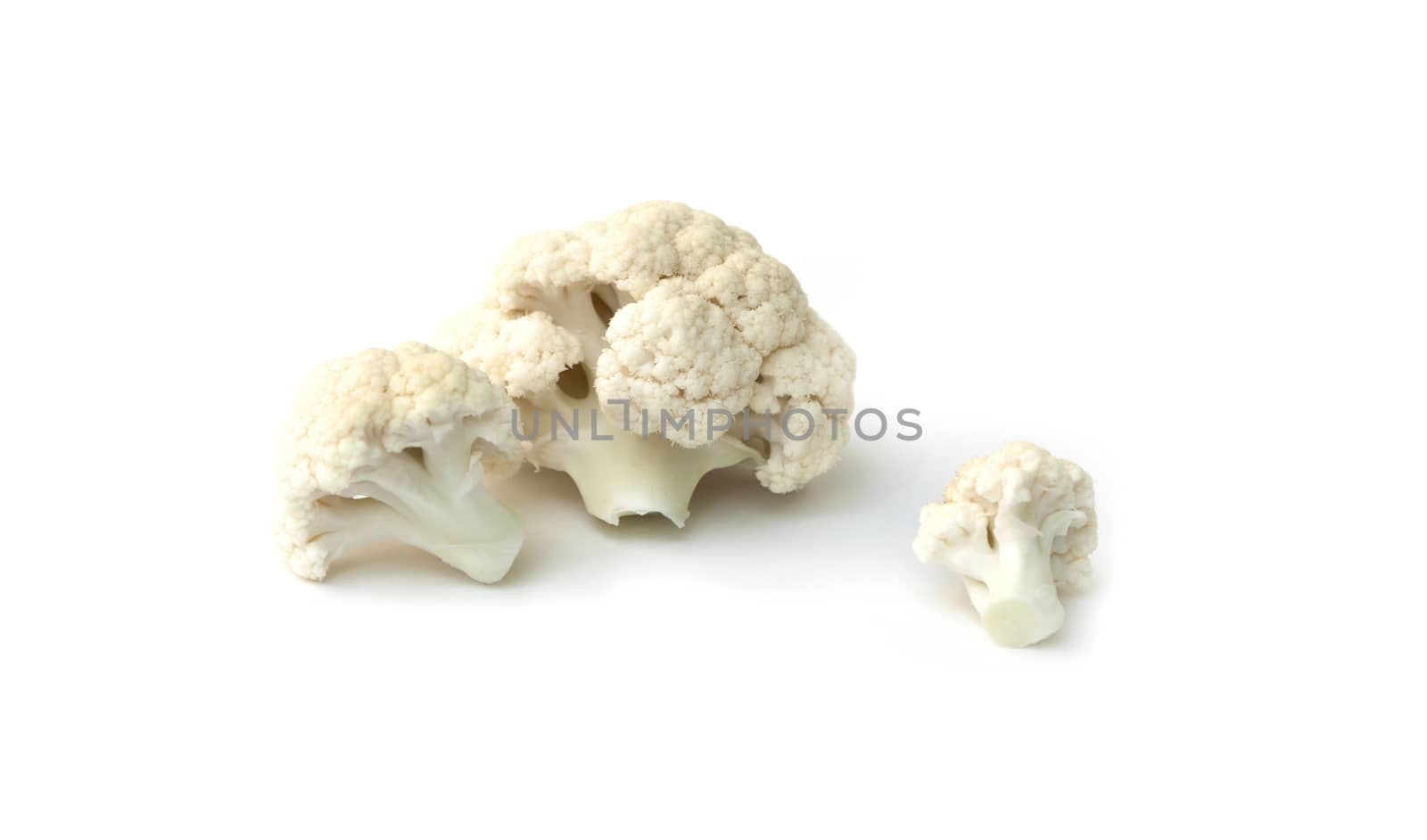 Fresh cauliflower cabbage vegetable on white background