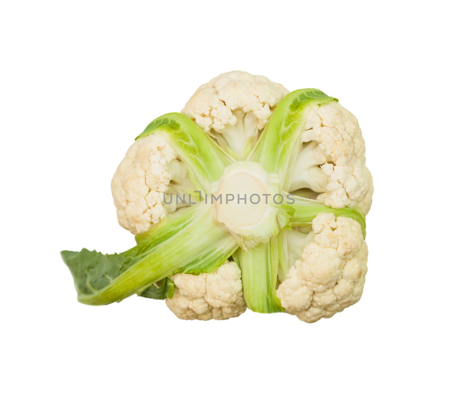 Fresh cauliflower cabbage vegetable on white background