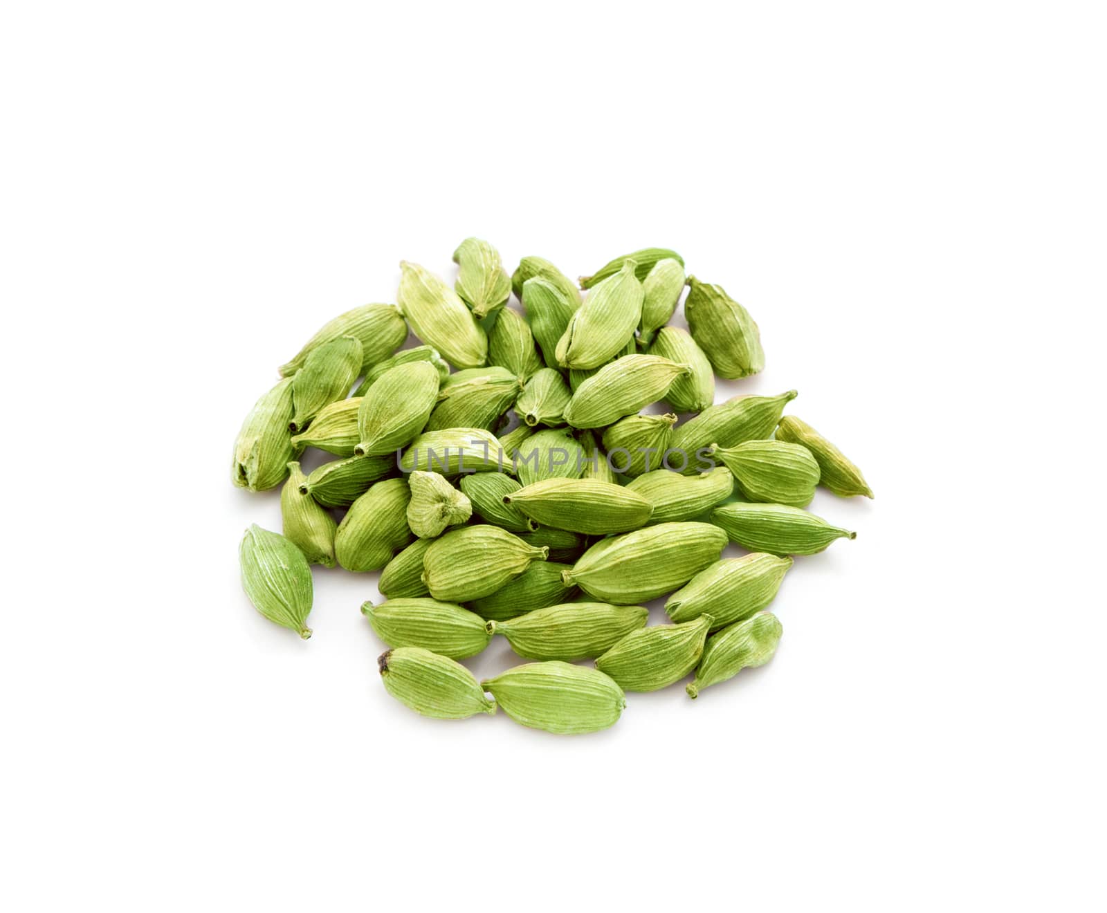 Cardamon pods spices isolated on white background