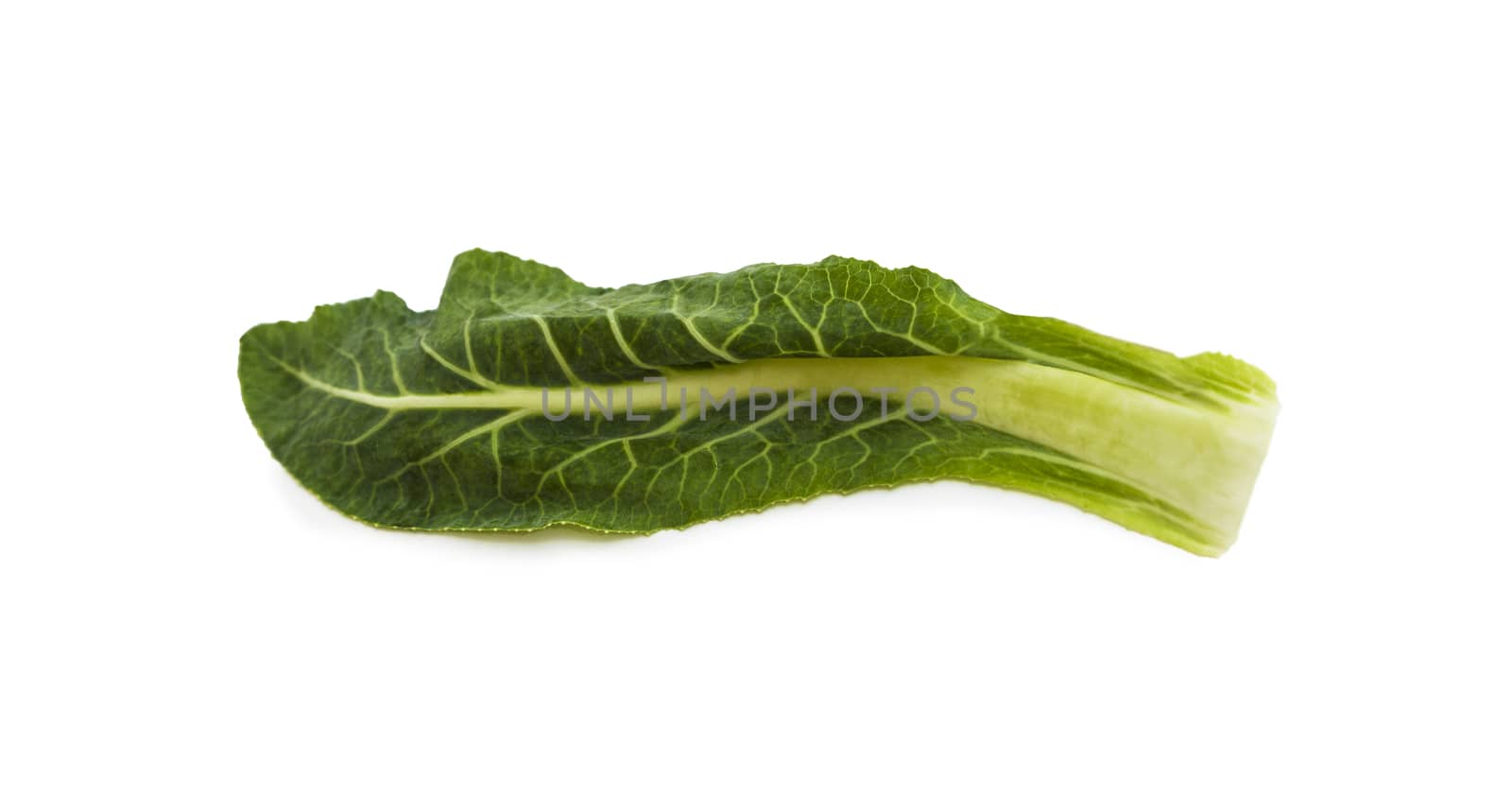 Cabbage, cauliflower green leaves. Isolated on white background