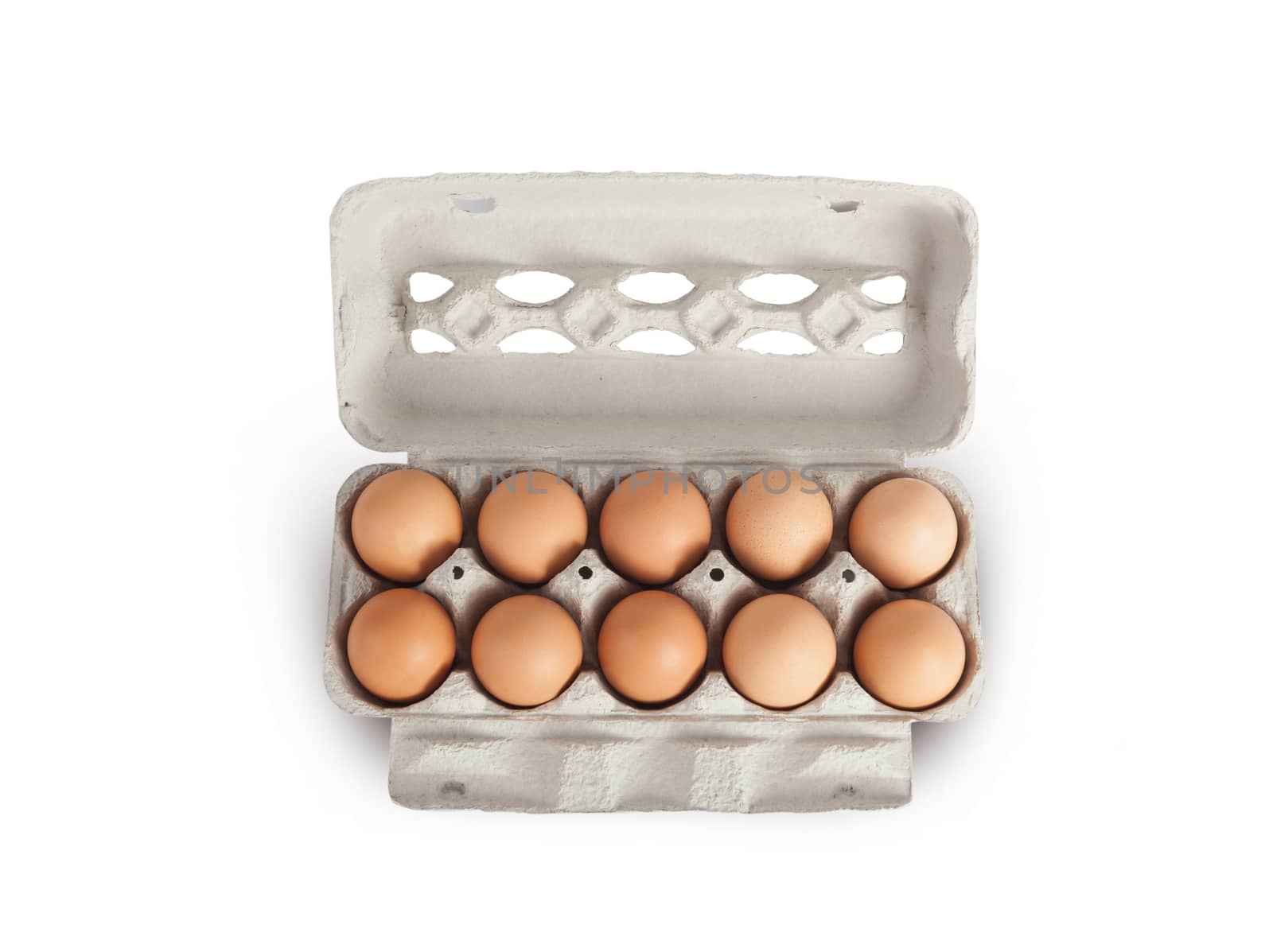 Eggs in cardboard rack on white background, mock up, copy space