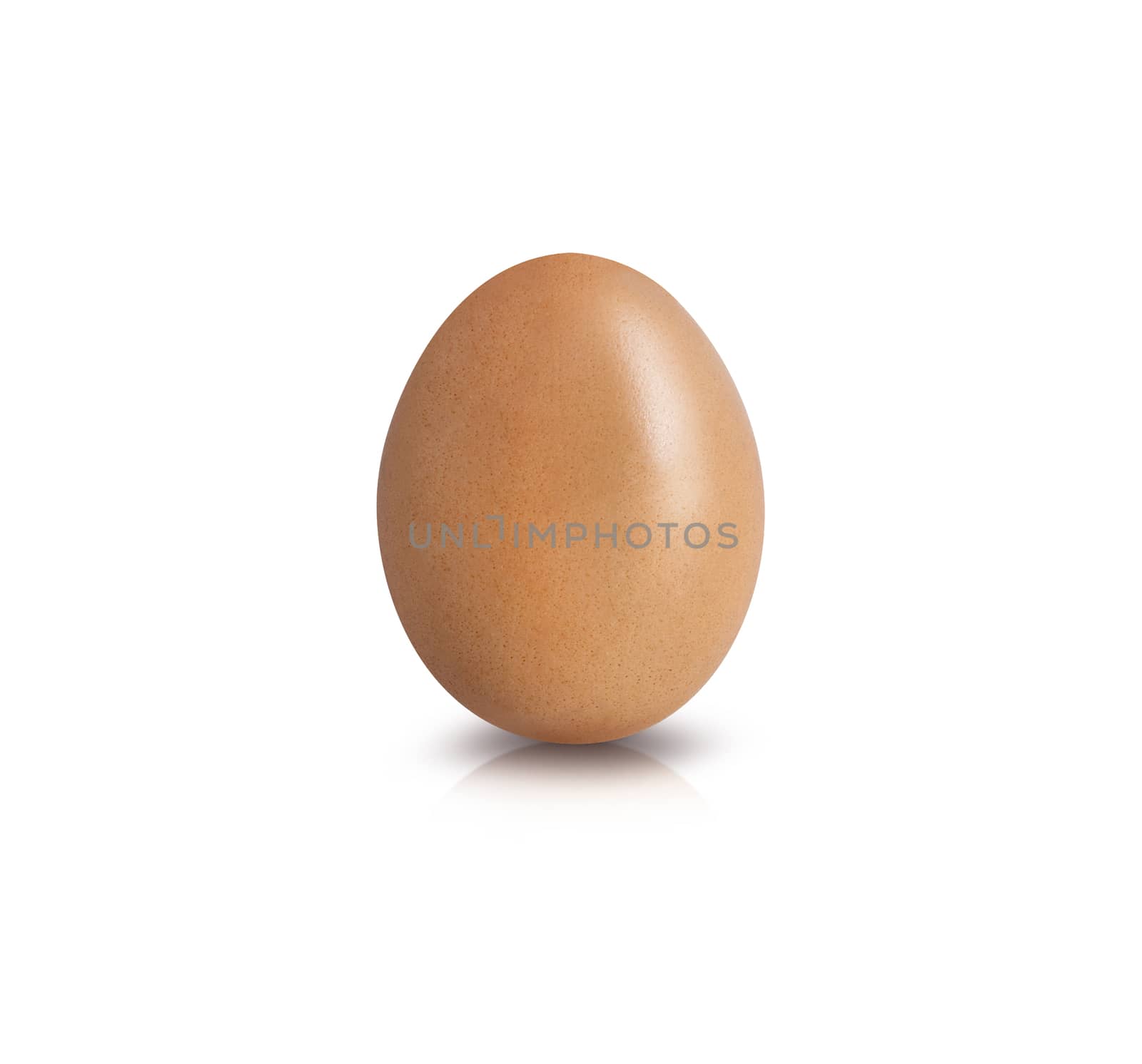 Egg isolated on white background cutout. With clipping path