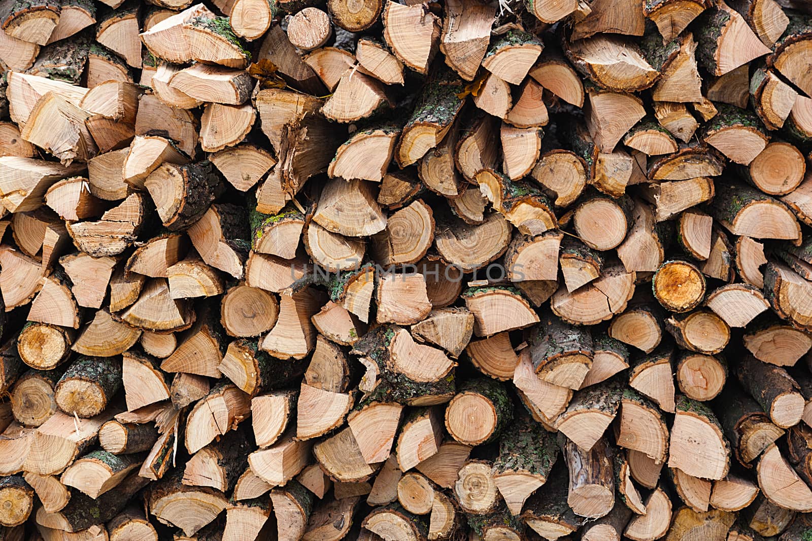 Firewood. Backgrounds and textures