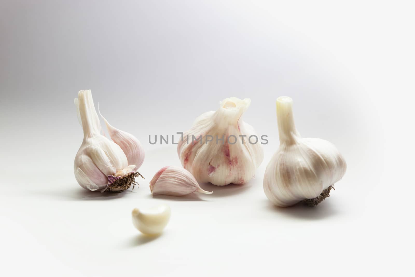Garlic. Bulbs and cloves isolated on white background.