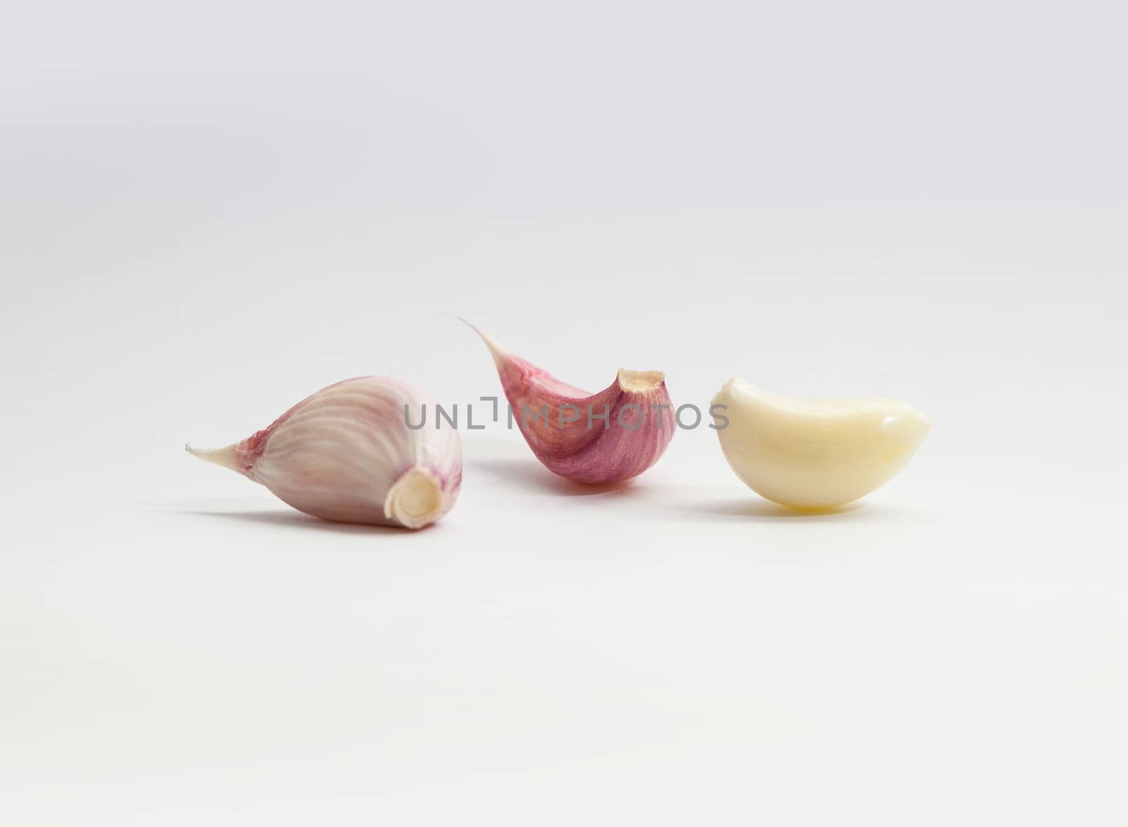 Garlic. Bulbs and cloves isolated on white background.