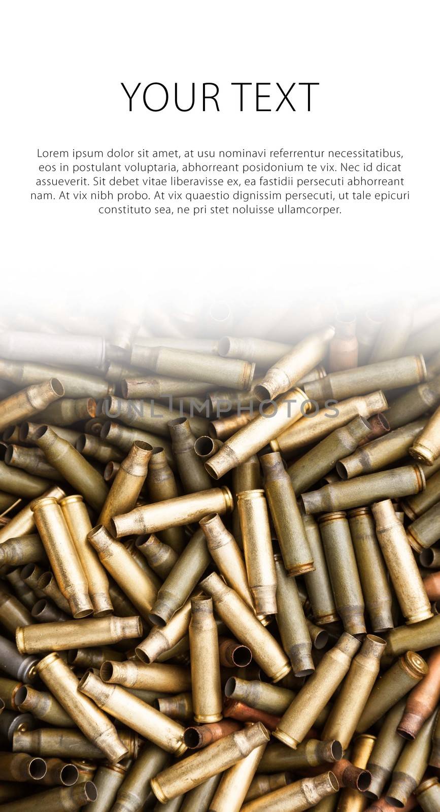 Shotgun cartridges close-up background concept