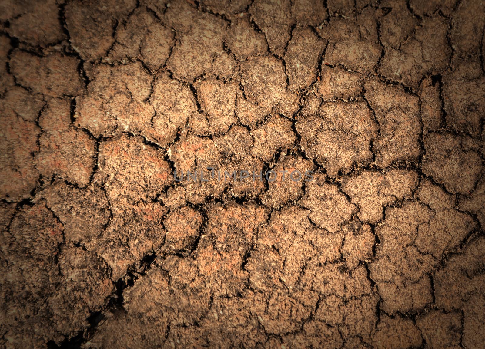 Crack soil on dry season. Dried cracked earth soil ground texture background.