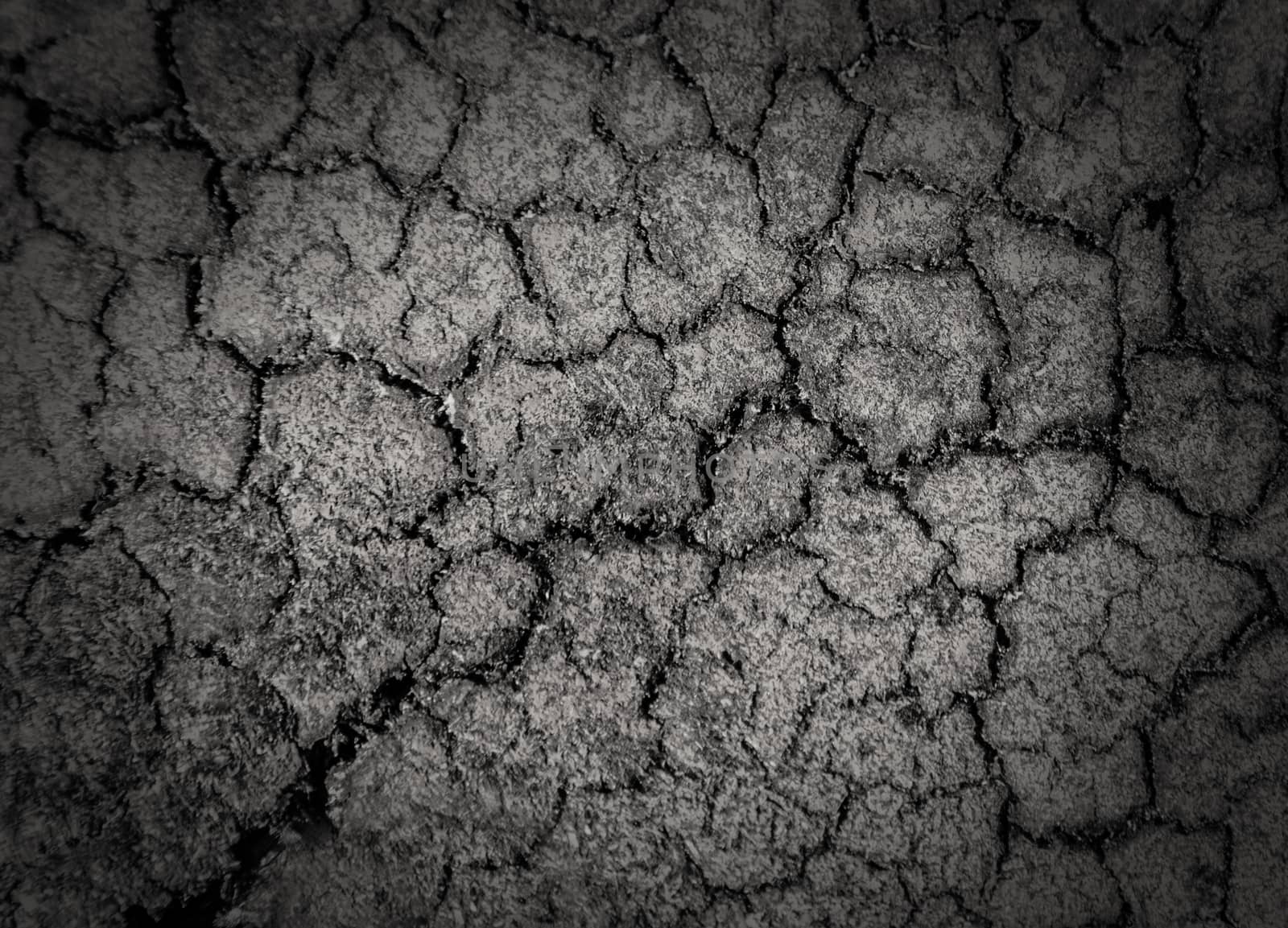 Crack soil on dry season. Dried cracked earth soil ground texture background.