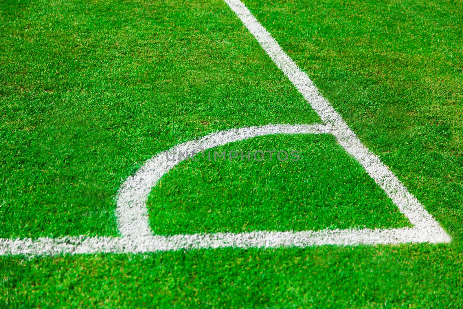 White line Corner of the artificial grass soccer field