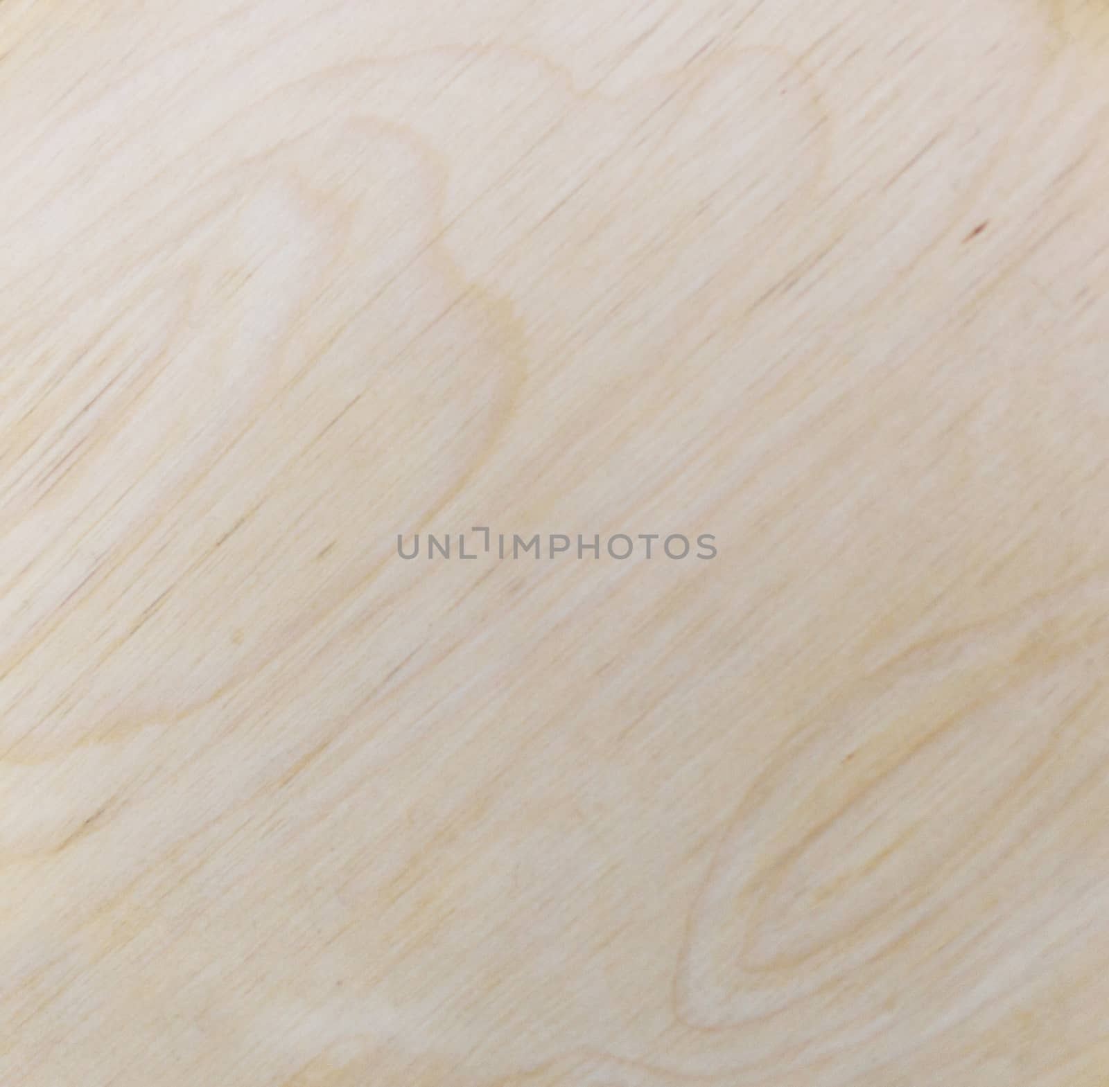 Light wood texture, may use as a background. Closeup