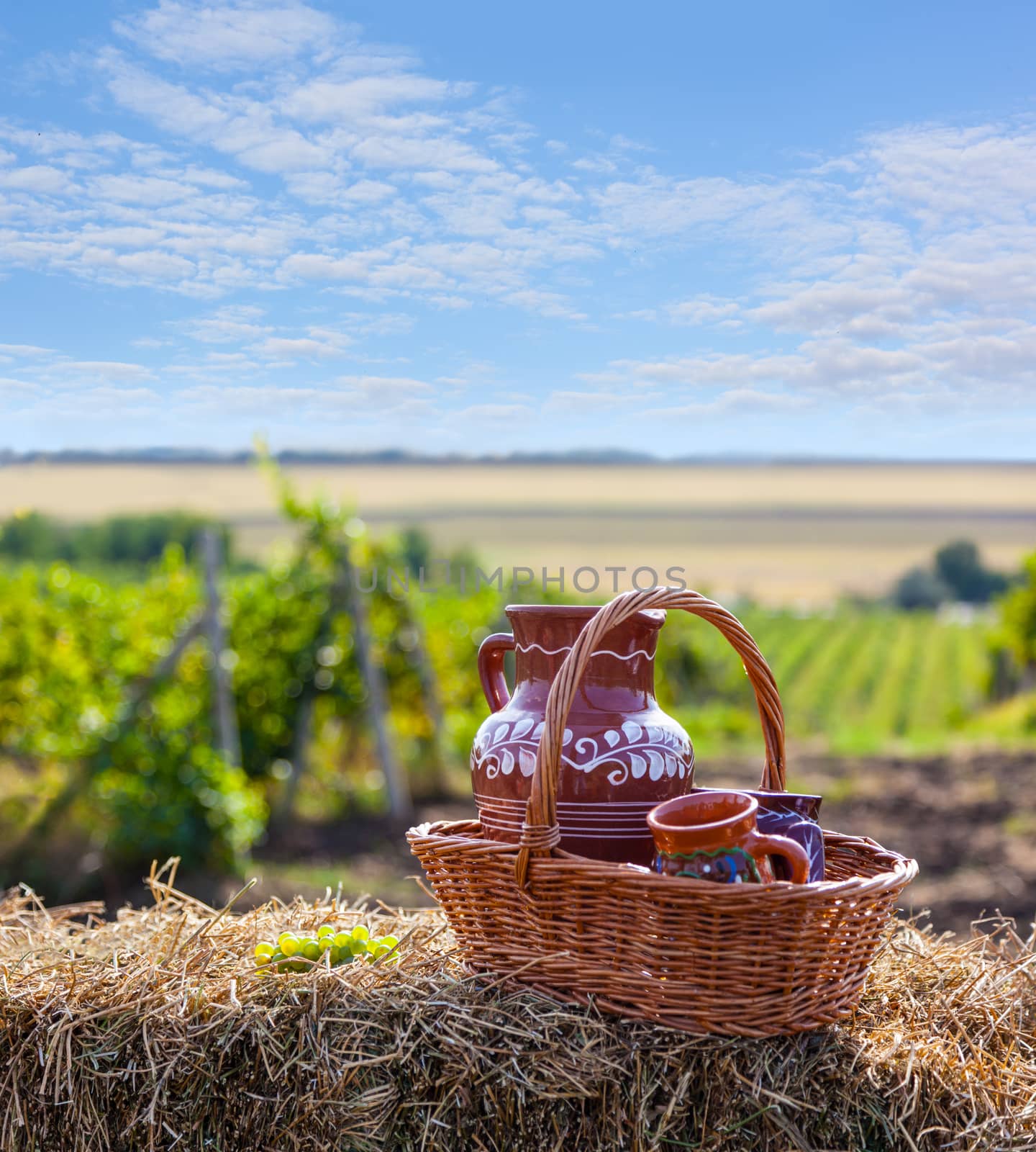 Concept of vine. Traditional Moldova story. Jug in basket of straw on background of the vineyards valley. Sunny day, blue sky