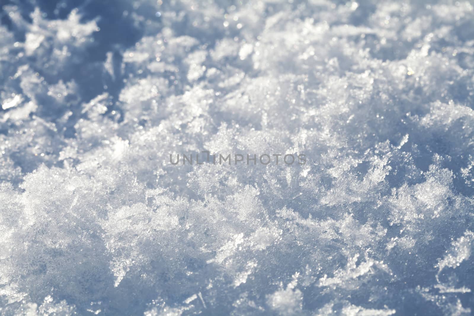 Macro shot of snow crystals, side view