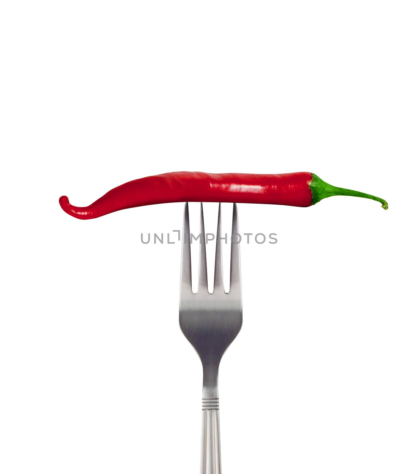 Red hot chili pepper speared onto metal fork shot on white background. With clipping path