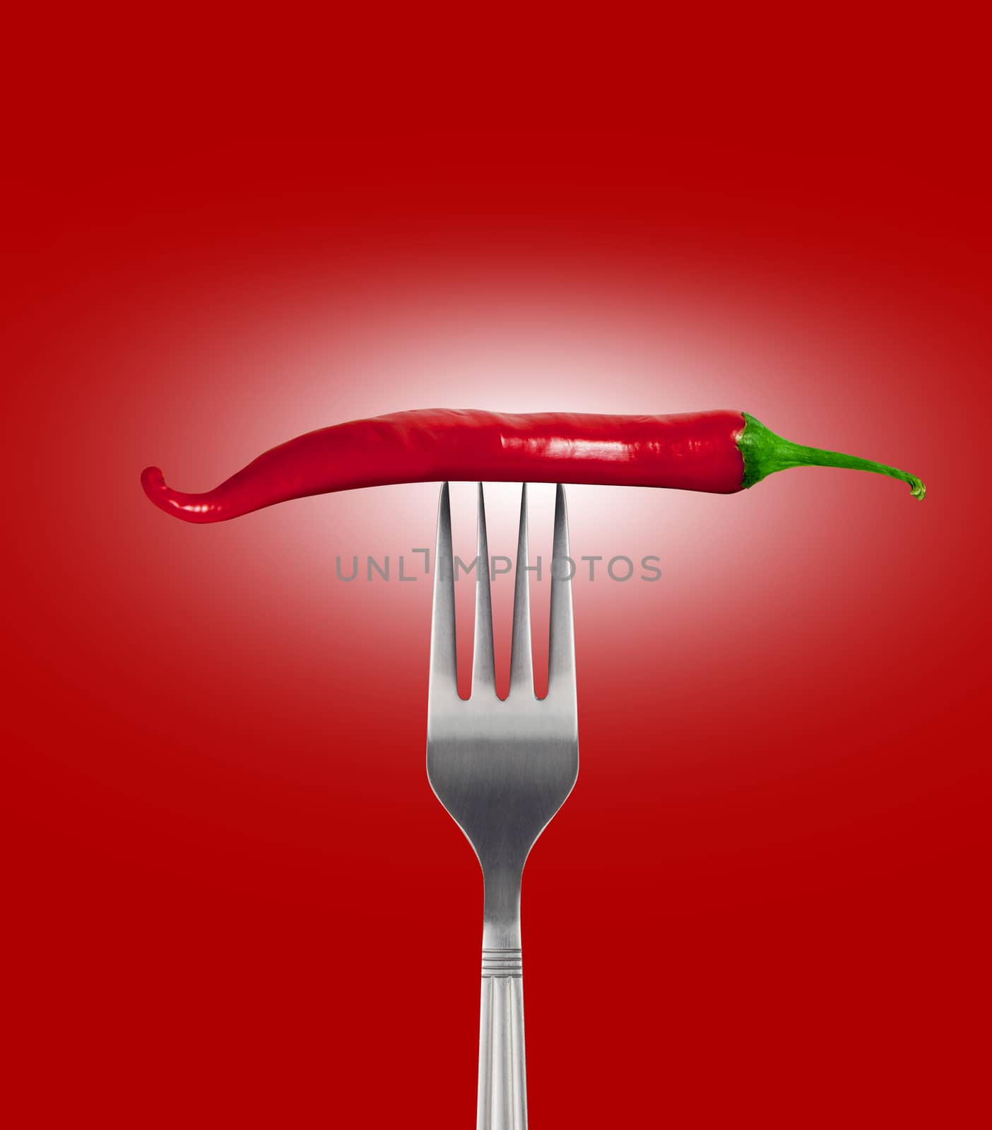 Red hot chili pepper speared onto metal fork shot on red background. With clipping path