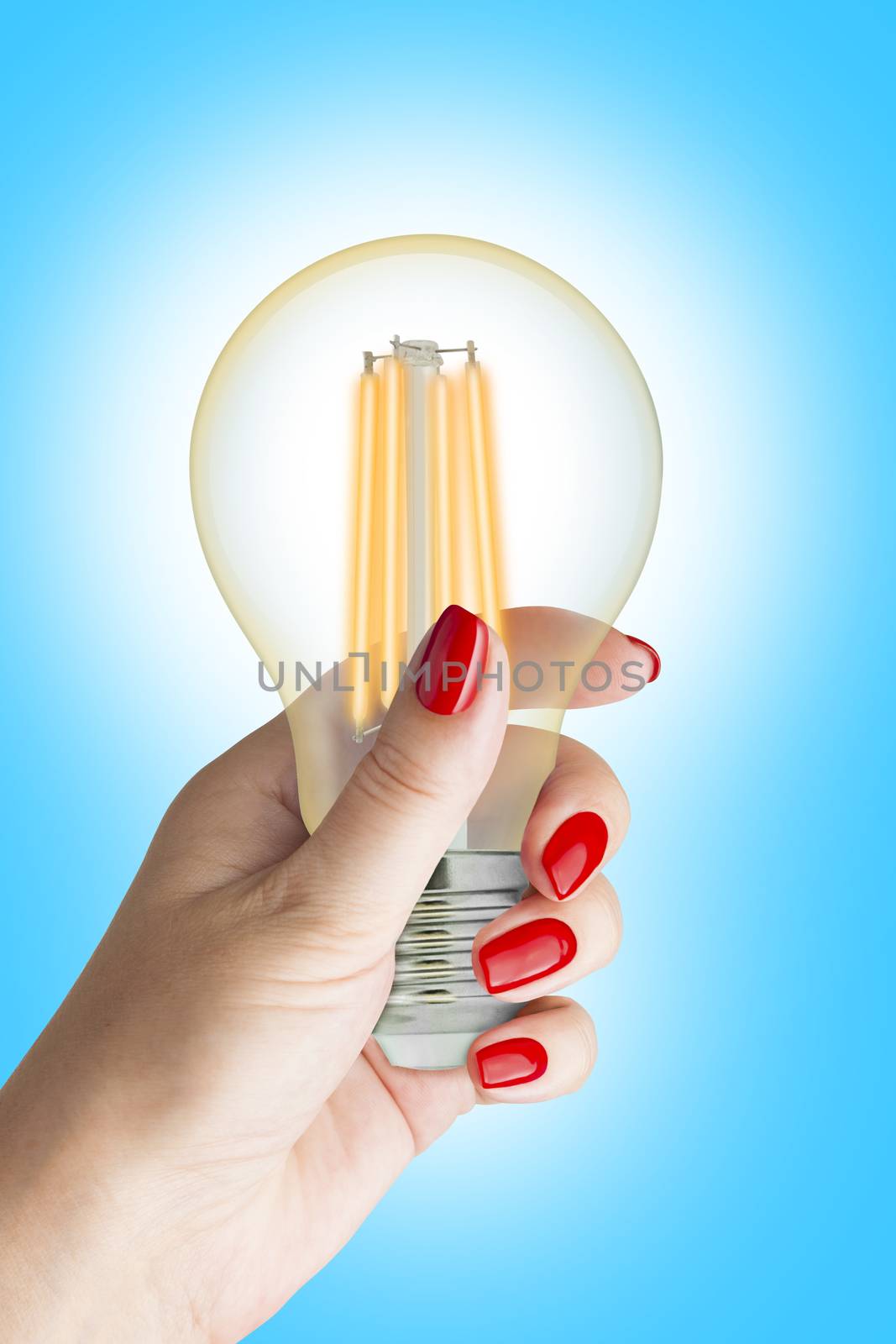 LED filament light bulb in female hand. Isolated on blue background.