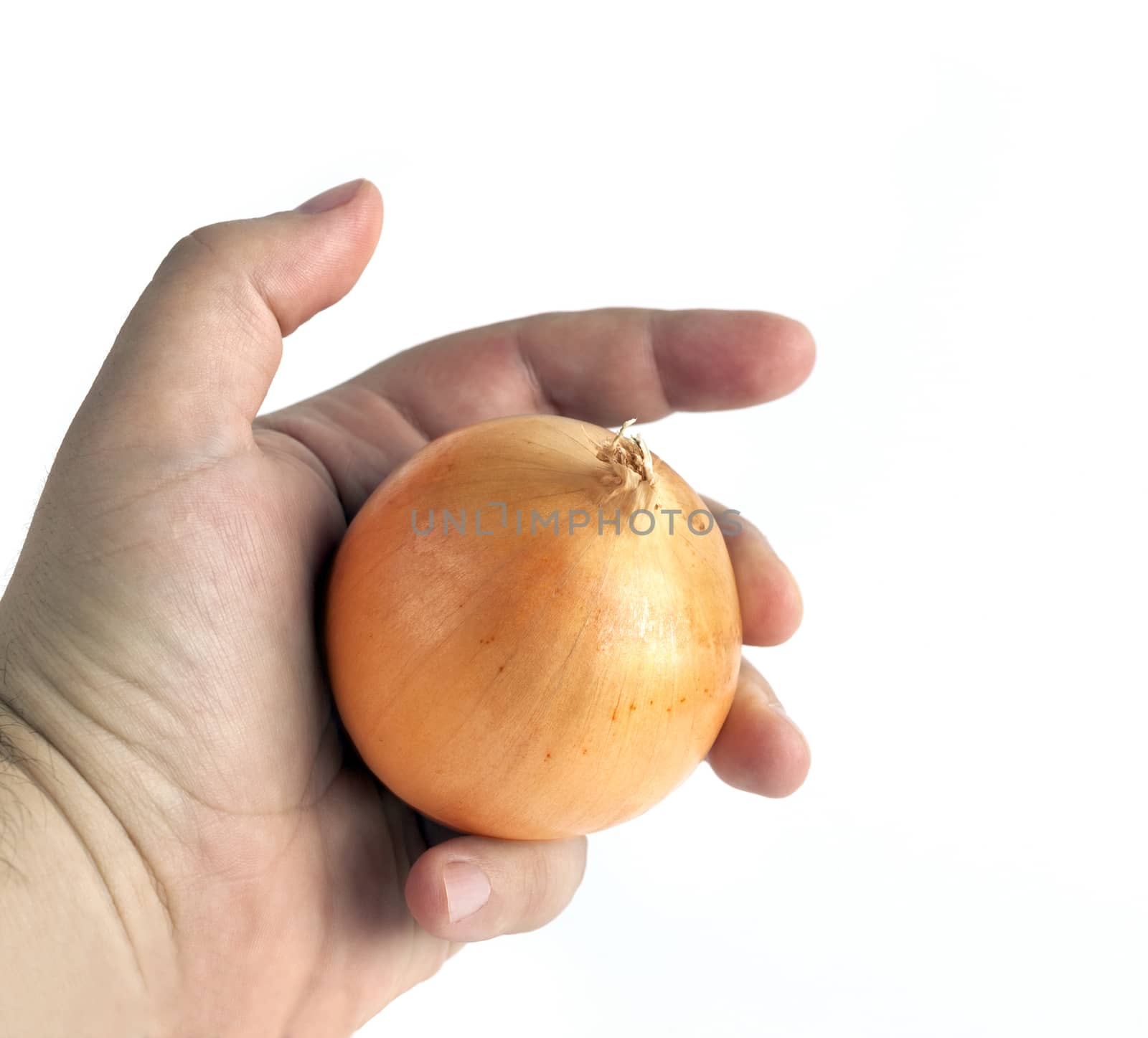 Ripe onion in a man's hand isolated on a white background