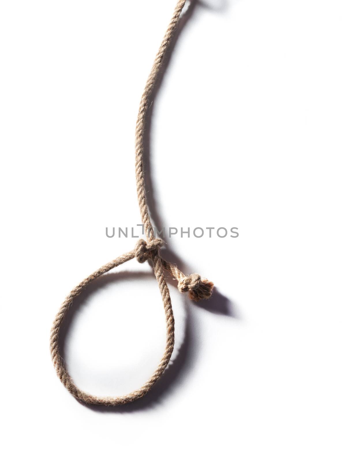 Hangman's noose isolated on a white background, a symbol of death. Hemp Rope Knot.