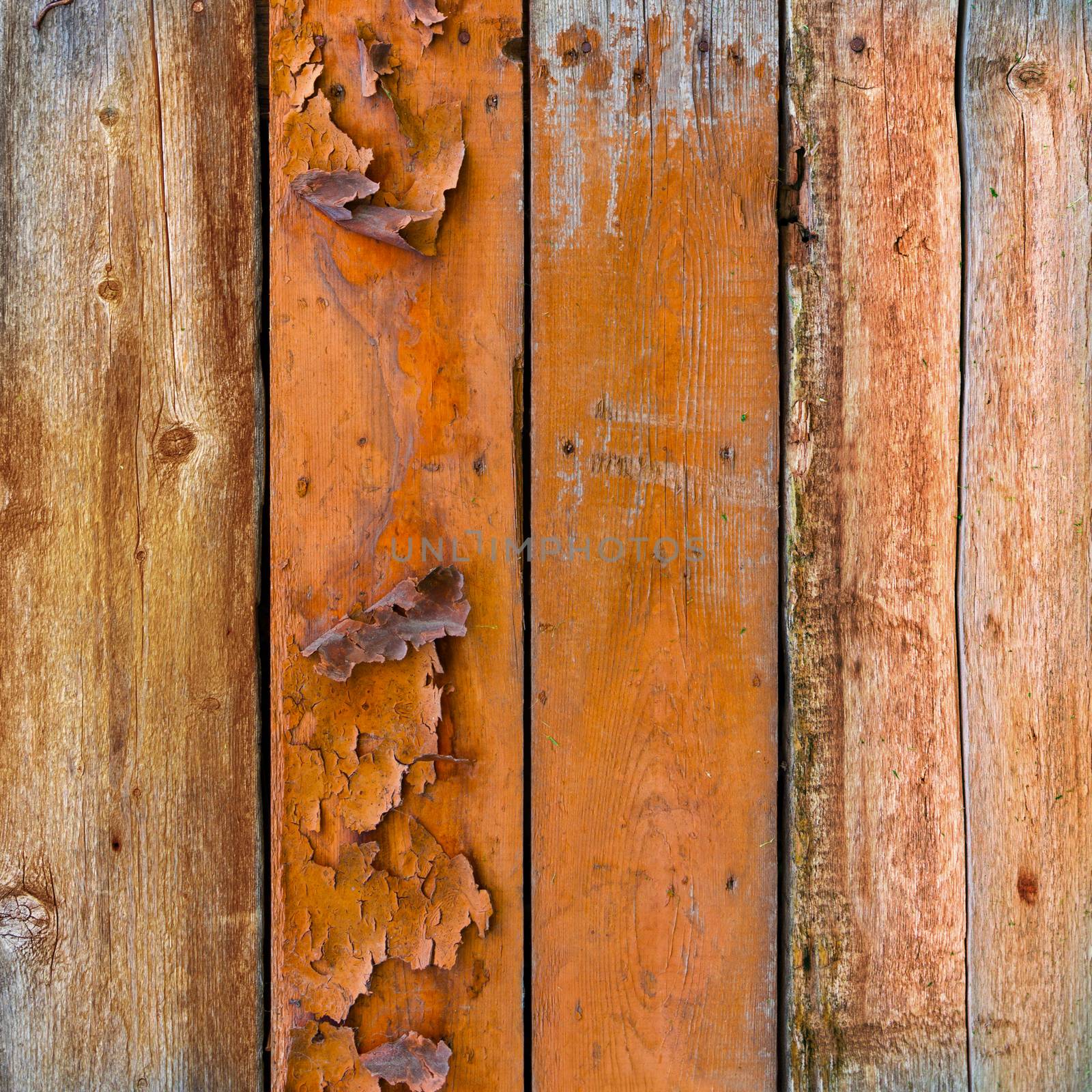 Wood panel wall texture grunge by SlayCer