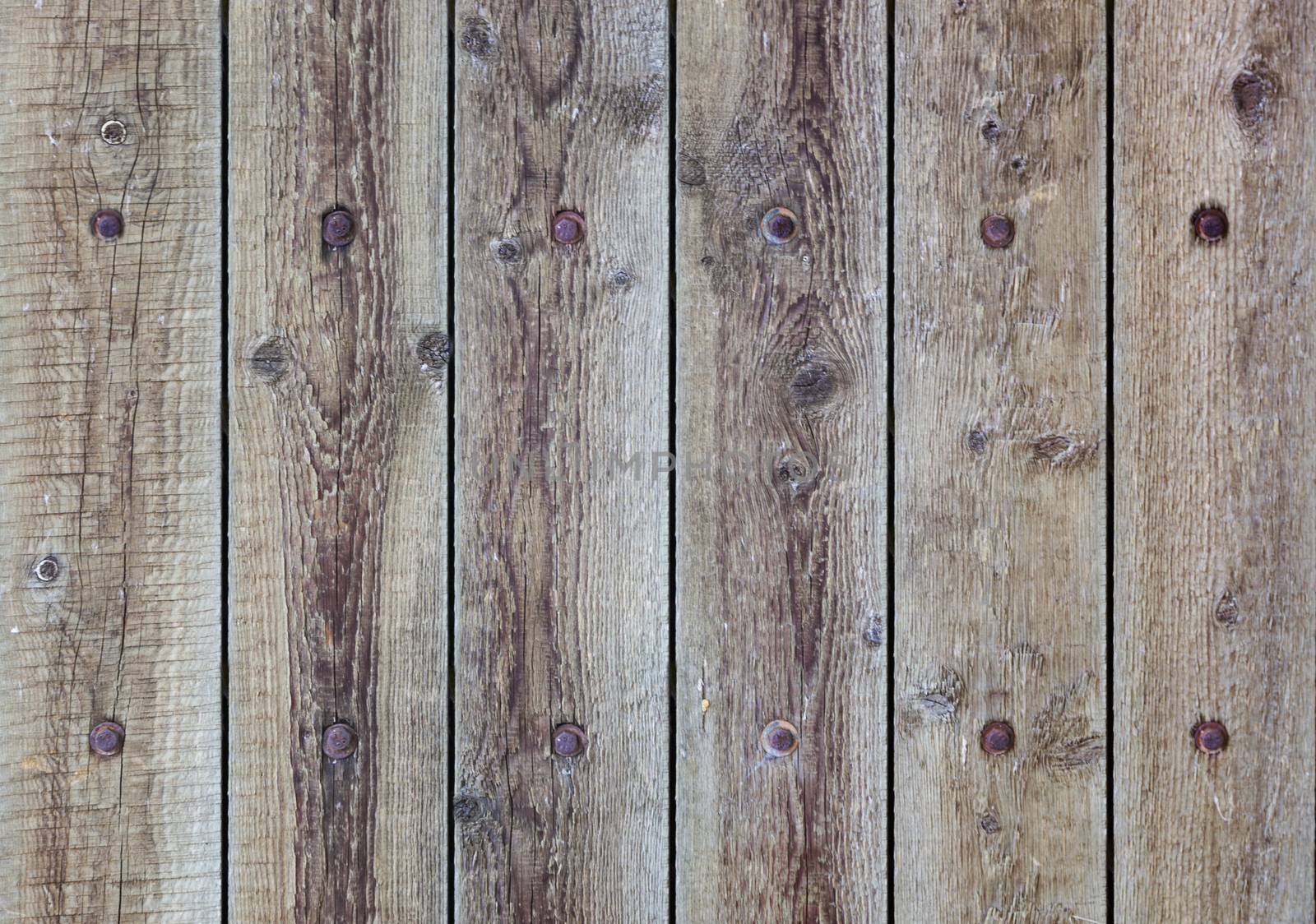 Wood texture. Background old panel with rusty nails