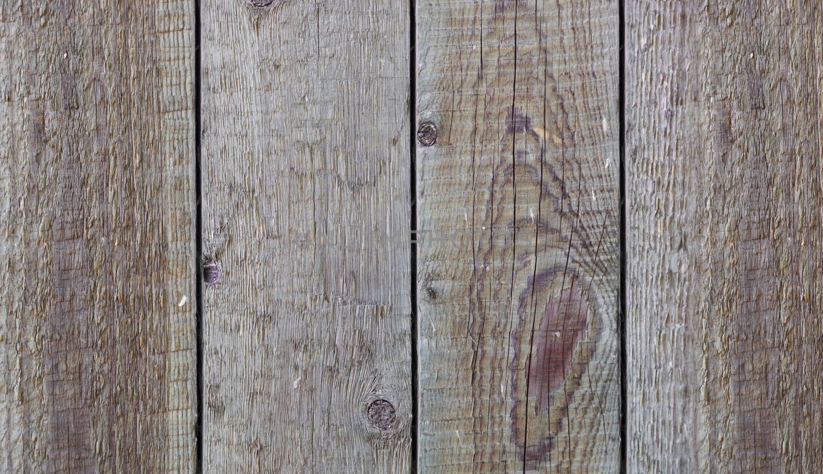 Wood texture. Background old panel closeup