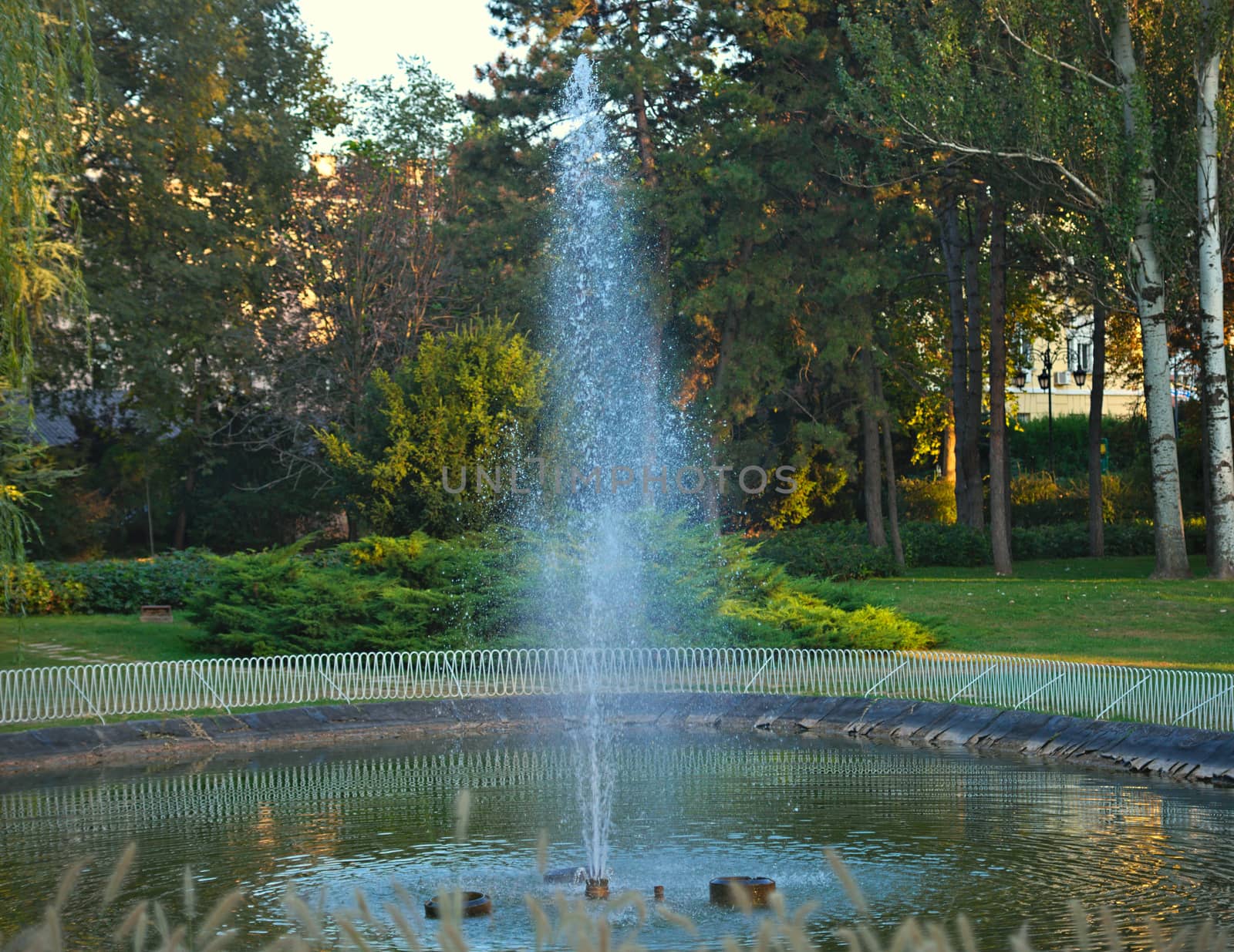 Jet of water from fountain in small lake with trees in background by sheriffkule