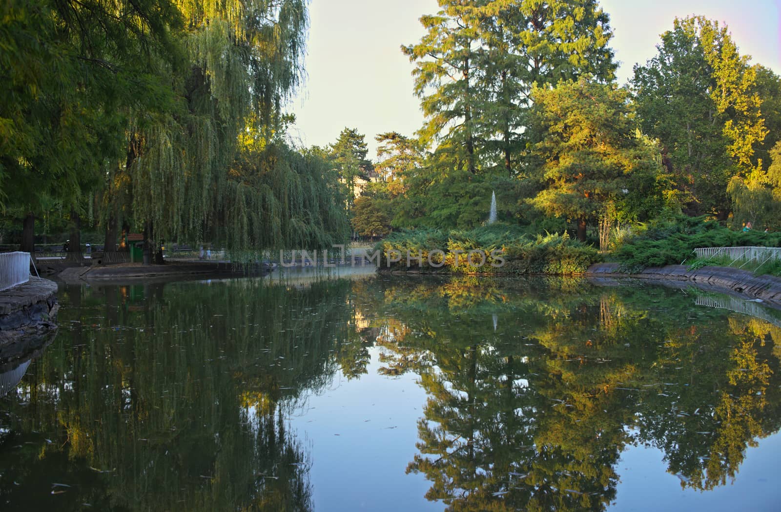 Lake in park with different trees all around