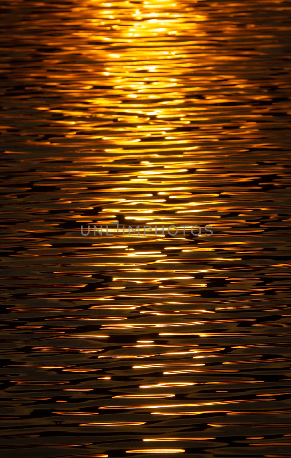 Golden Reflected Sunlight Abstract by mrdoomits
