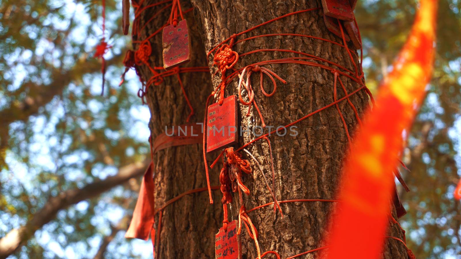 eople write and hang Ema Wood tag or Wooden label for praying for good luck happy other at Sanya, China