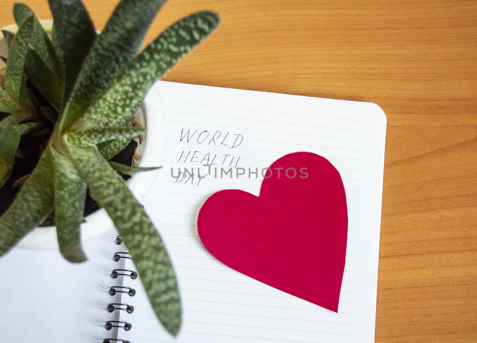 World health day is written on a notebook, next to a live succulent flower in a pot and a red heart. Conceptual image
