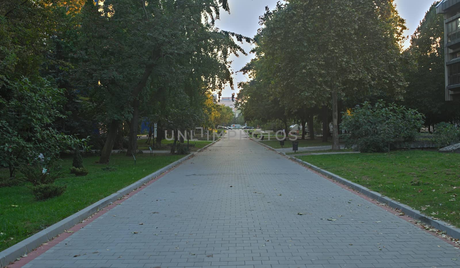 Empty walking street with trees on both sides by sheriffkule