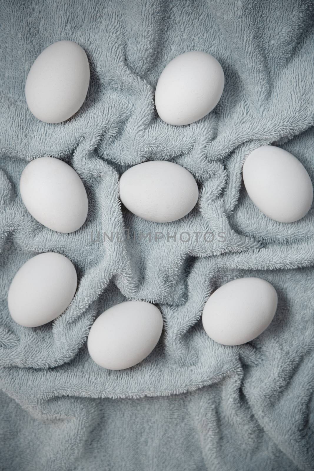 Chicken eggs on a fiber by Novic