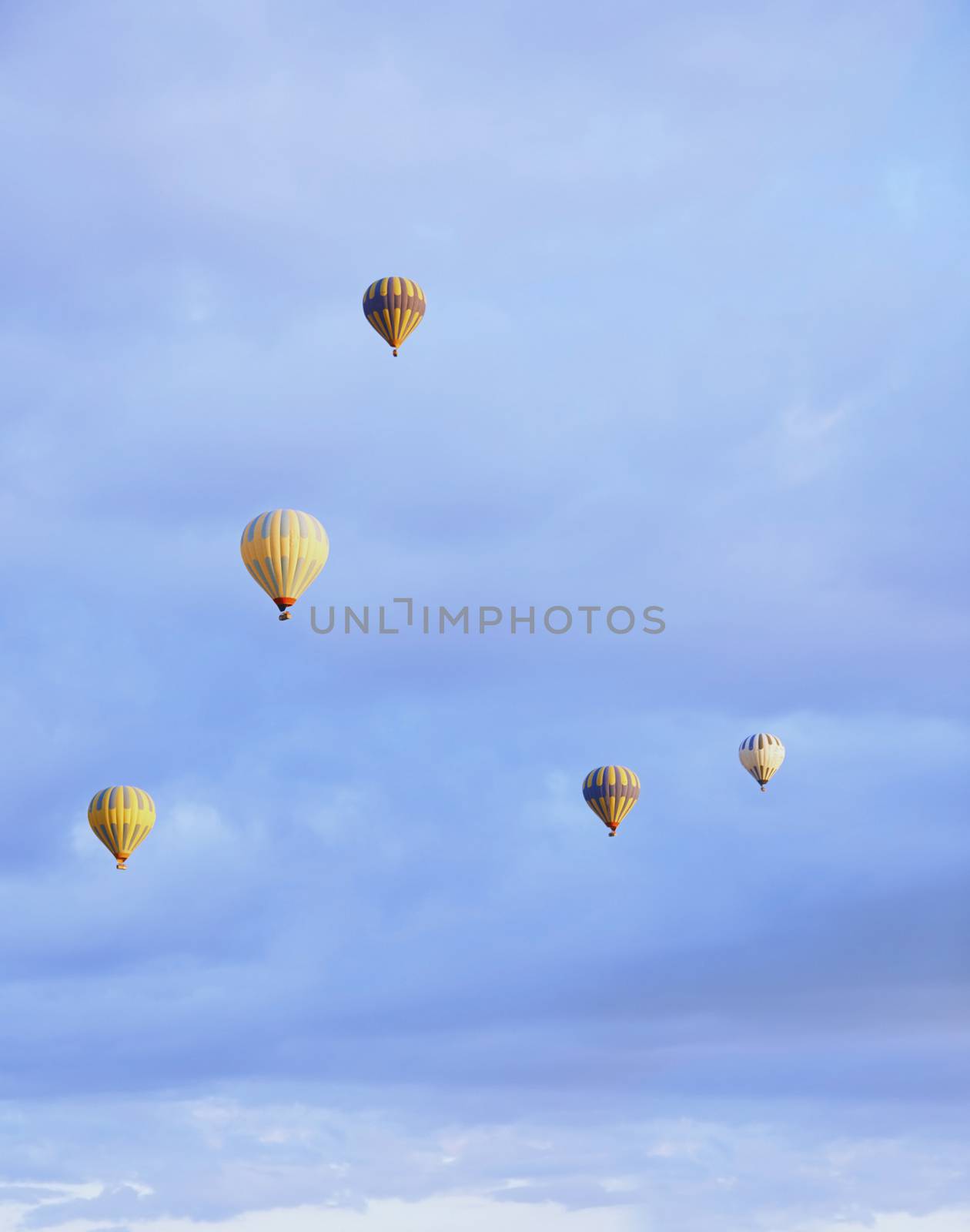 Group of air balloons flying in the sky by Novic