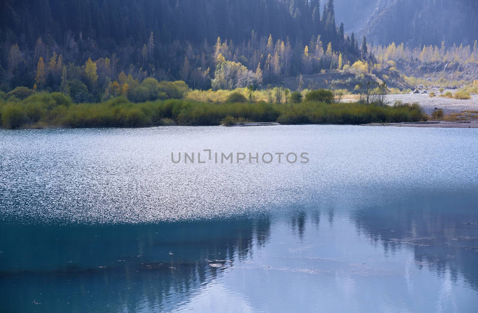 Mountain Lake with plants and trees in USA. California