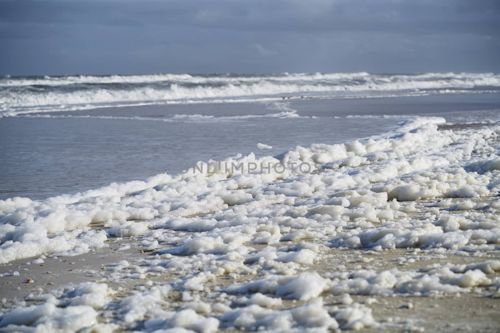 Sea foam on the coast at Pacific Ocean