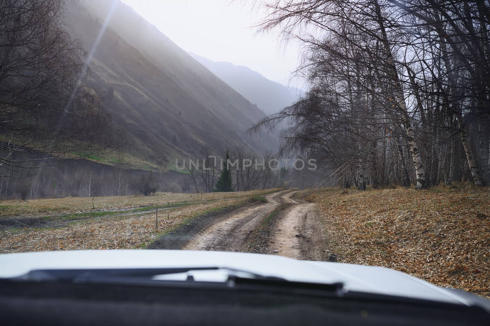 Road trip through the nature of Europe. Car point of view by Novic