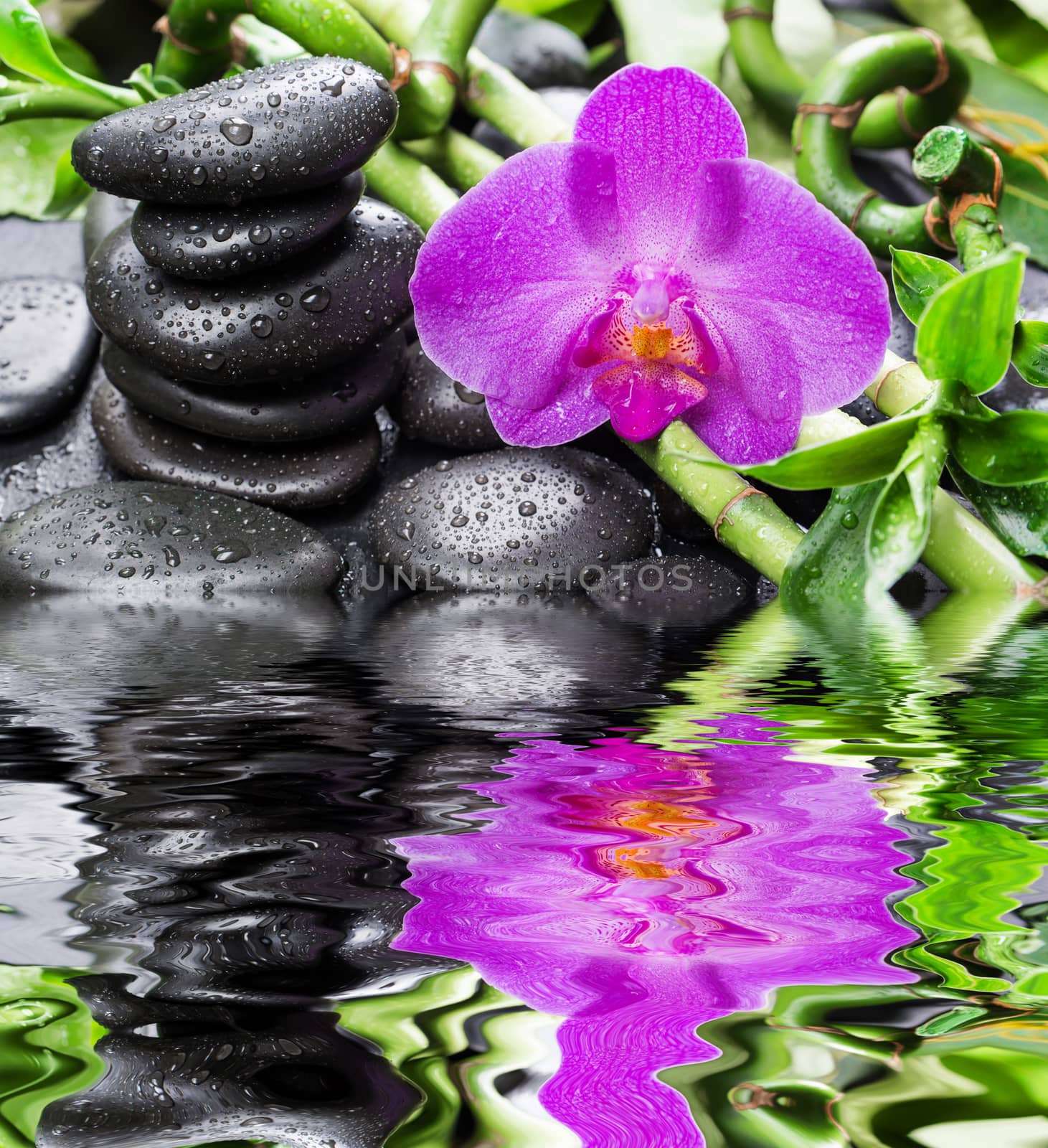 Zen stones, orchid flower and bamboo reflected in a water by Epitavi