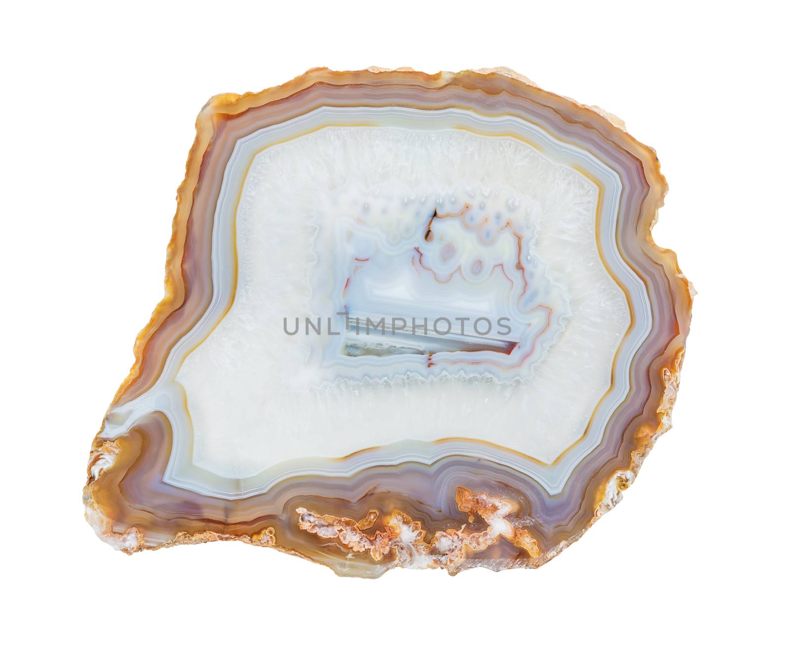 Thin slice of multicolor lacy agate geodes with concentric layers isolated on white background