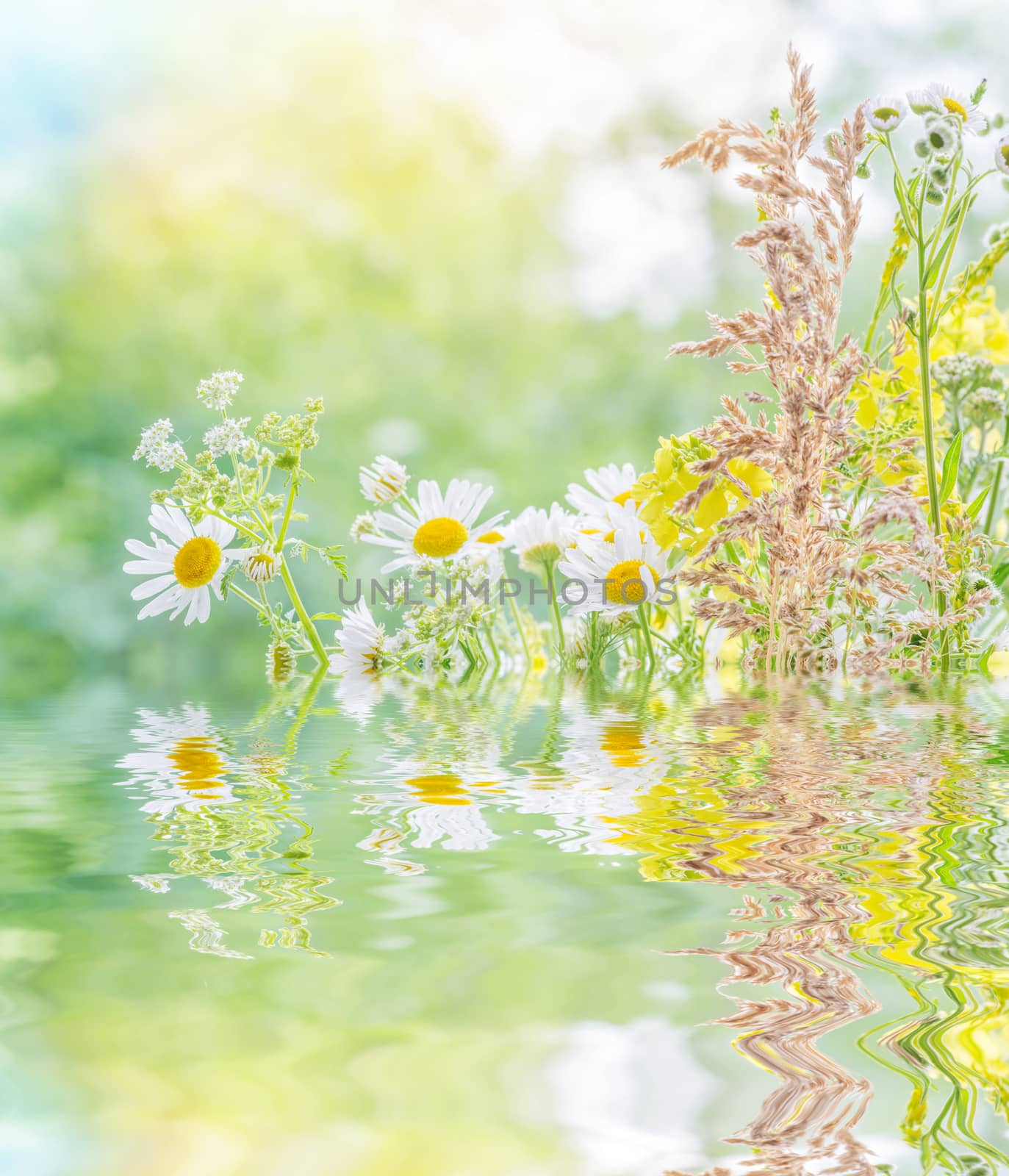 Bouquet of different multicolored wildflowers closeup outdoors on blurred nature background reflected in a water surface with small waves, with copy-space 