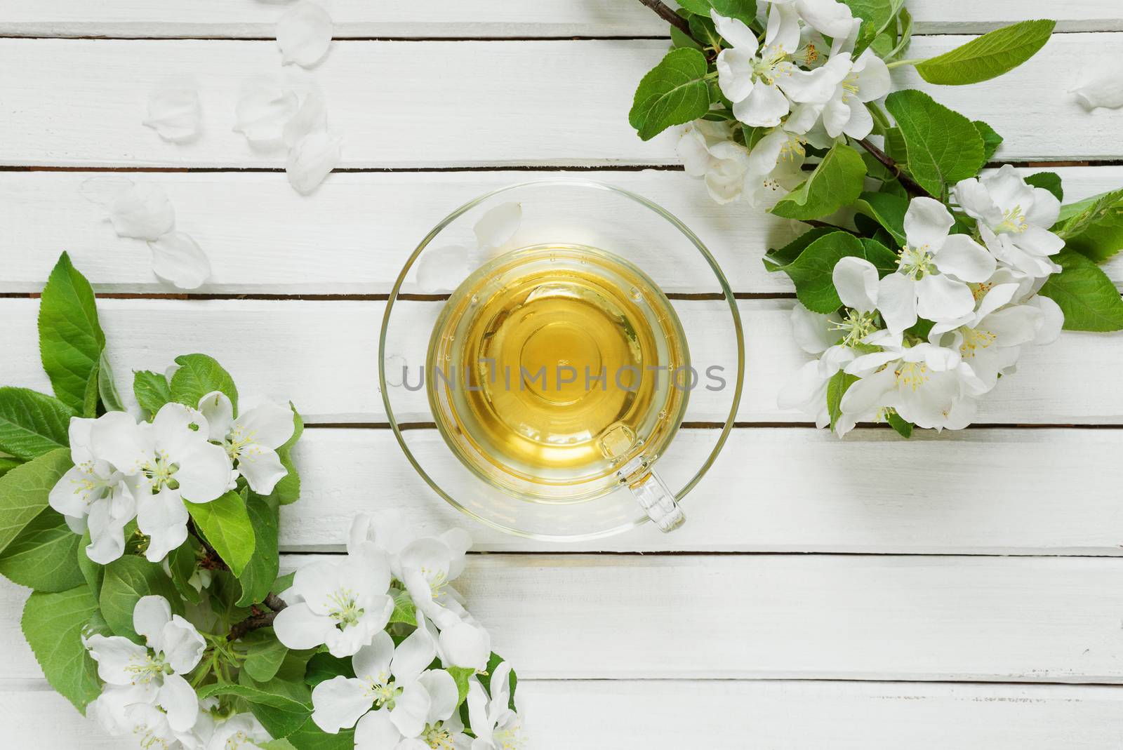 Glass cup of green tea and branches of apple-tree flowers on an old wooden shabby background