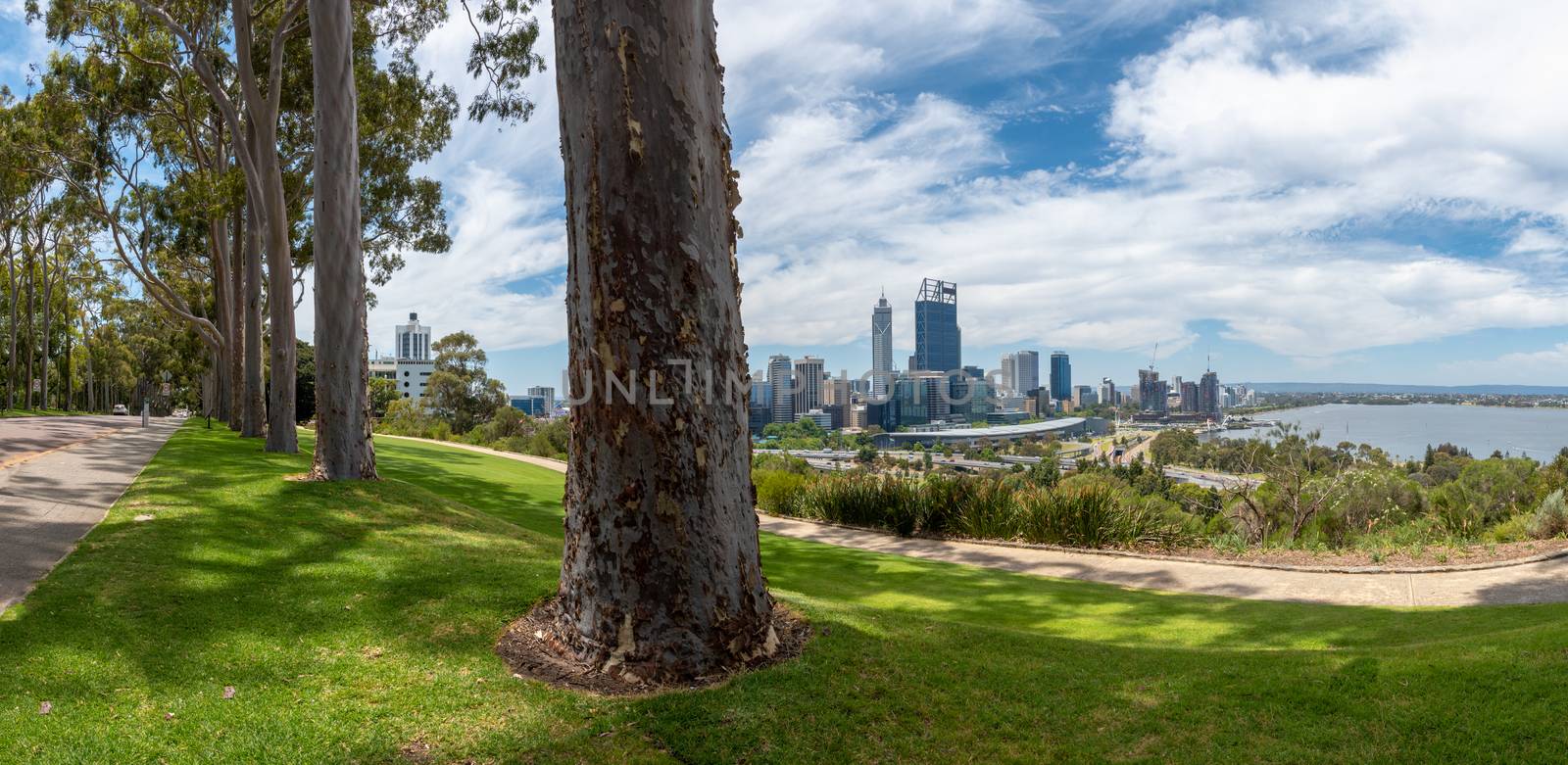 Panorama of Kingspark and Perth in Western Australia with trees and skyline