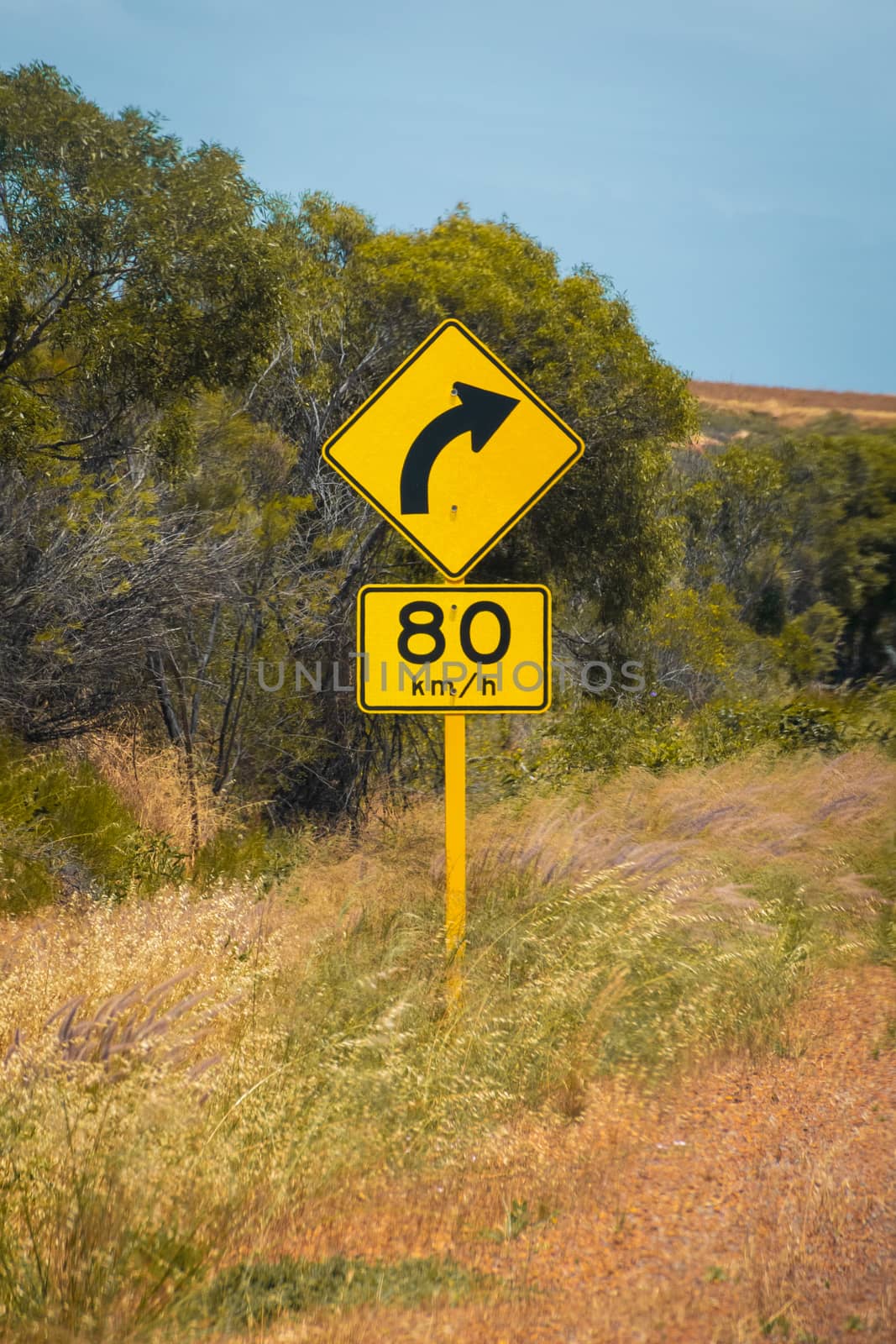 Street sign in Australia warning right curve ahead speed 80 in dry landscape by MXW_Stock