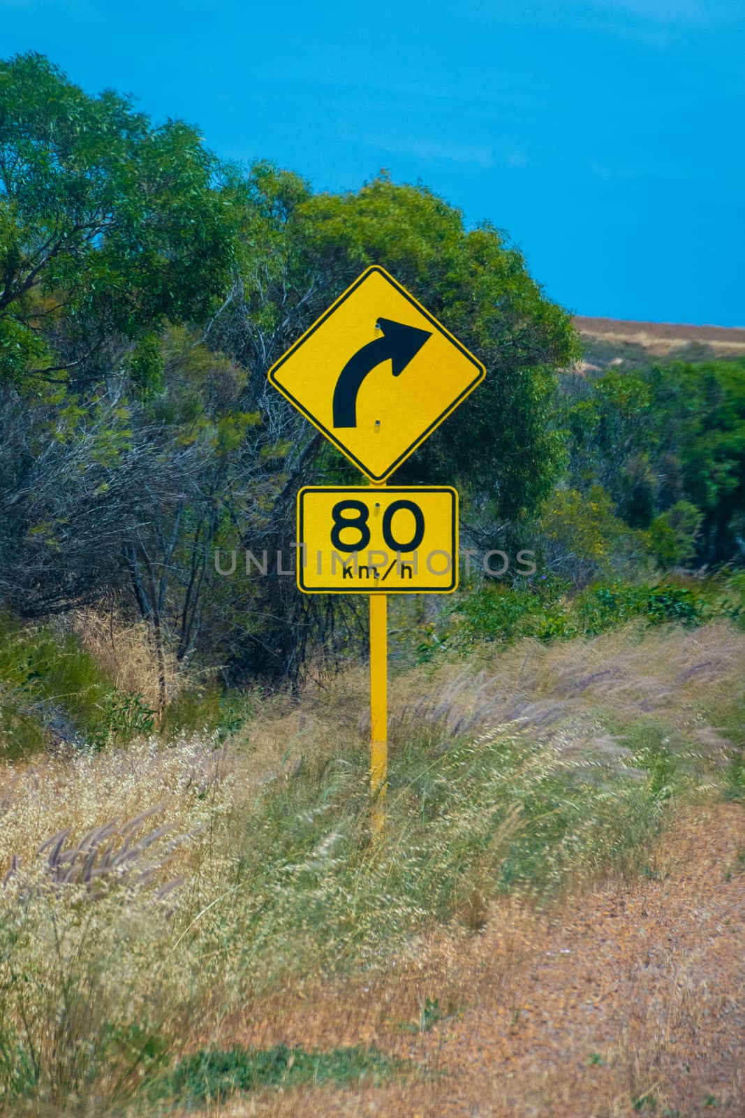 Street sign in Australia warning right curve ahead speed 80 with green trees in background by MXW_Stock