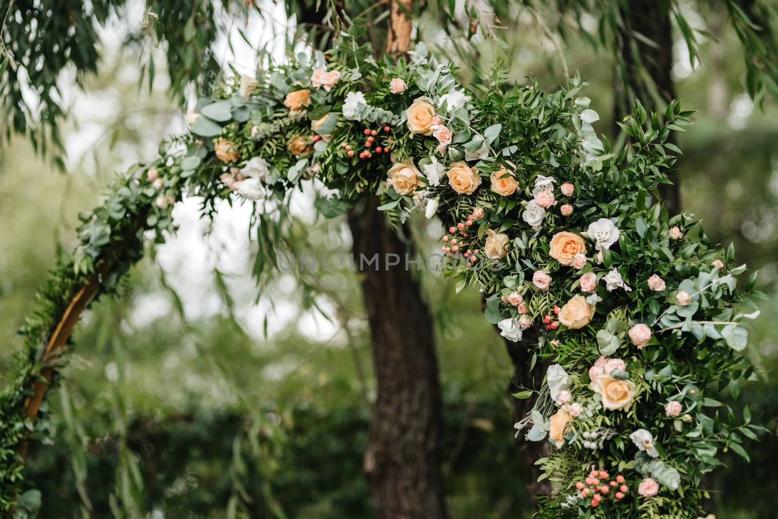 wedding ceremony area, arch chairs decor