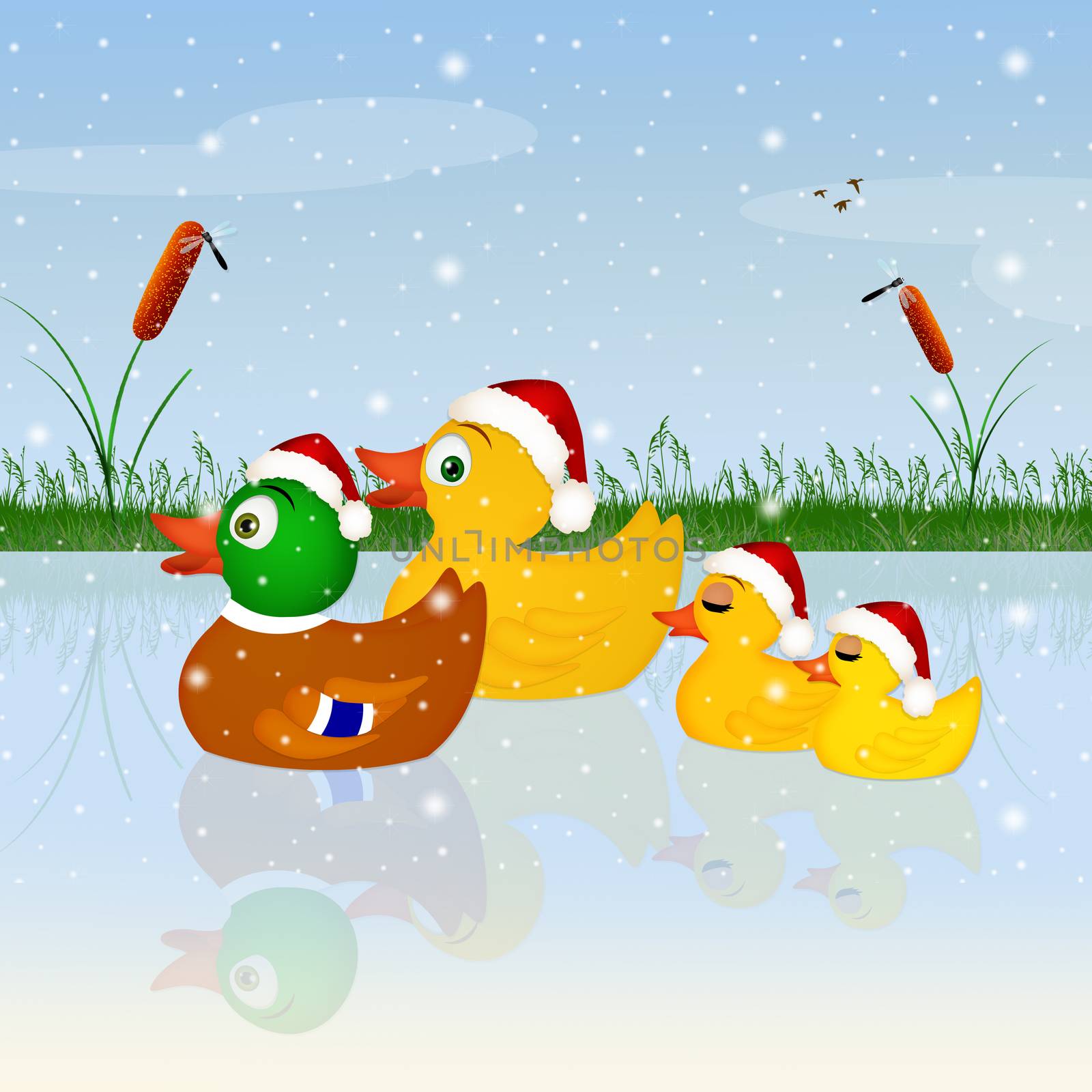 family of ducks at Christmas by adrenalina