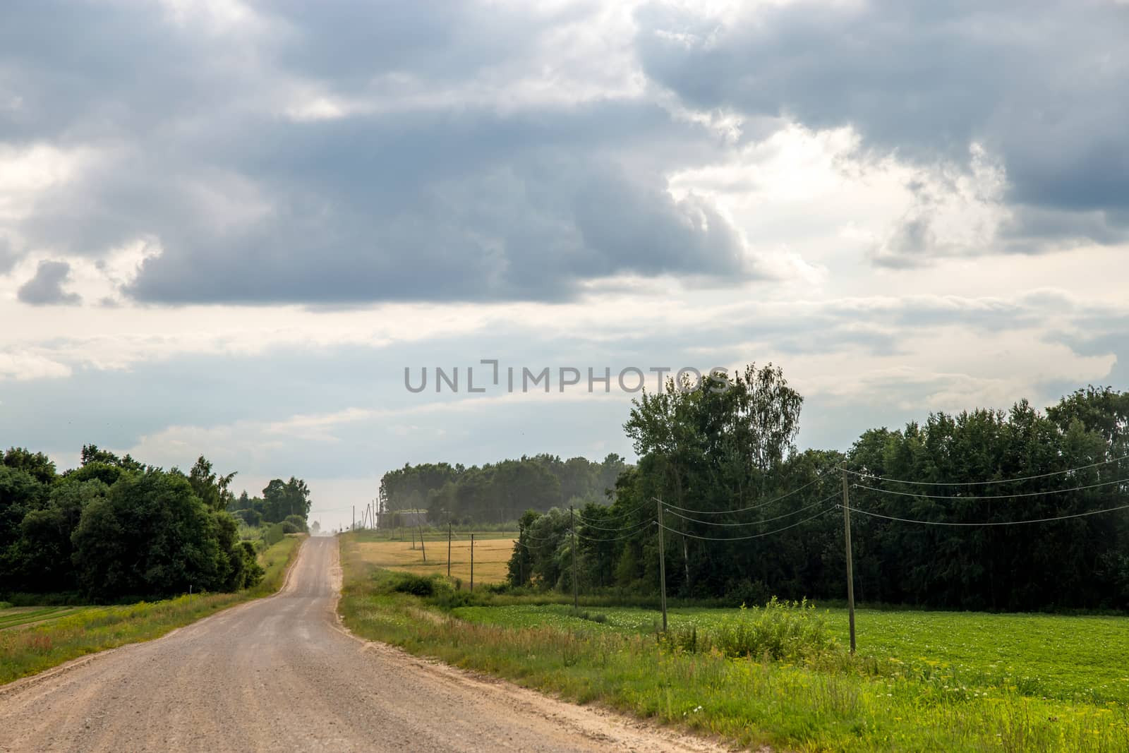 Summer landscape with empty road, trees and blue sky.. Rural road, cornfield, wood and cloudy blue sky. Classic rural landscape in Latvia.